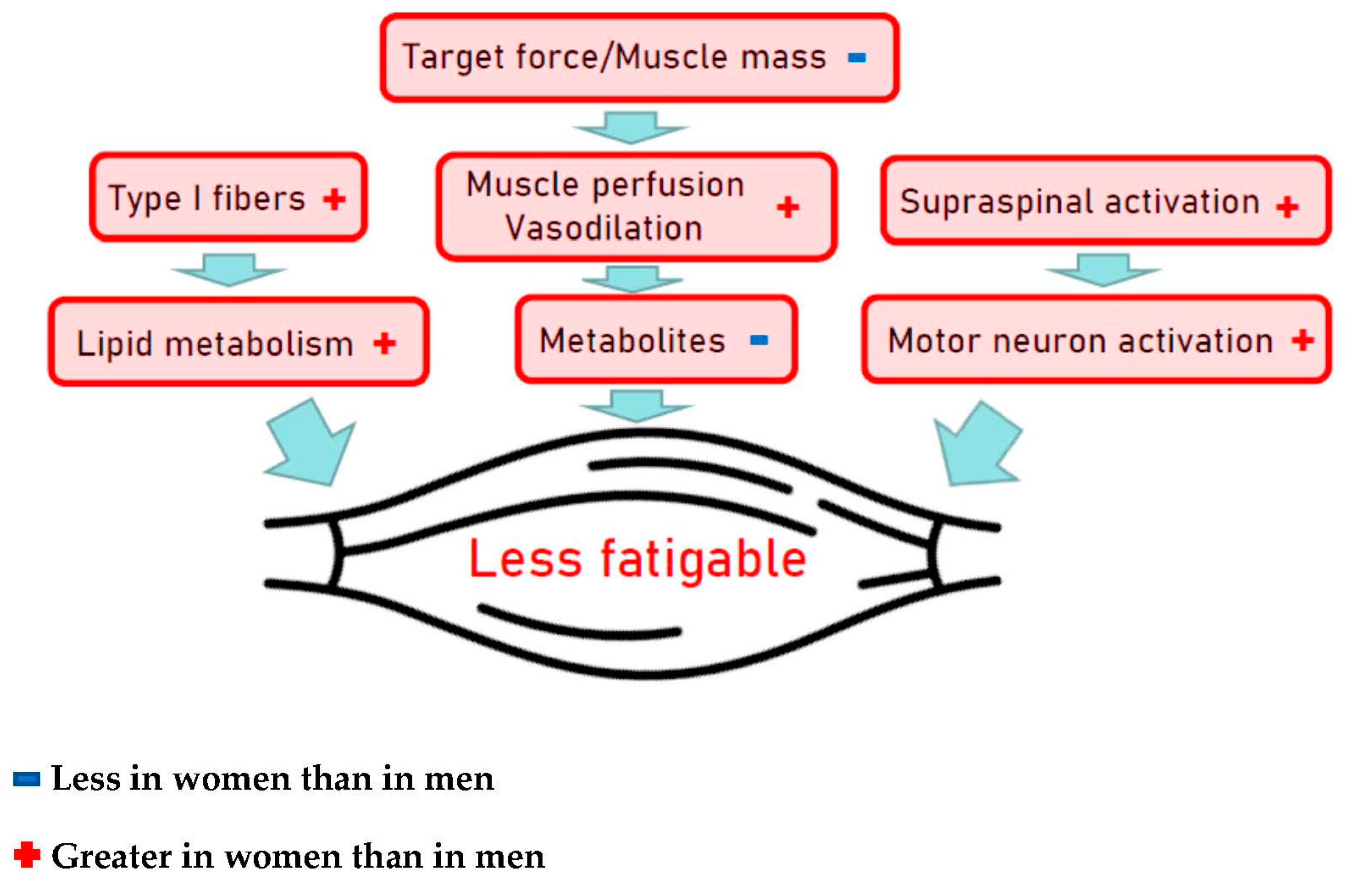 Nutrients 13 01409 g004 Nutrients 13 01409 g004