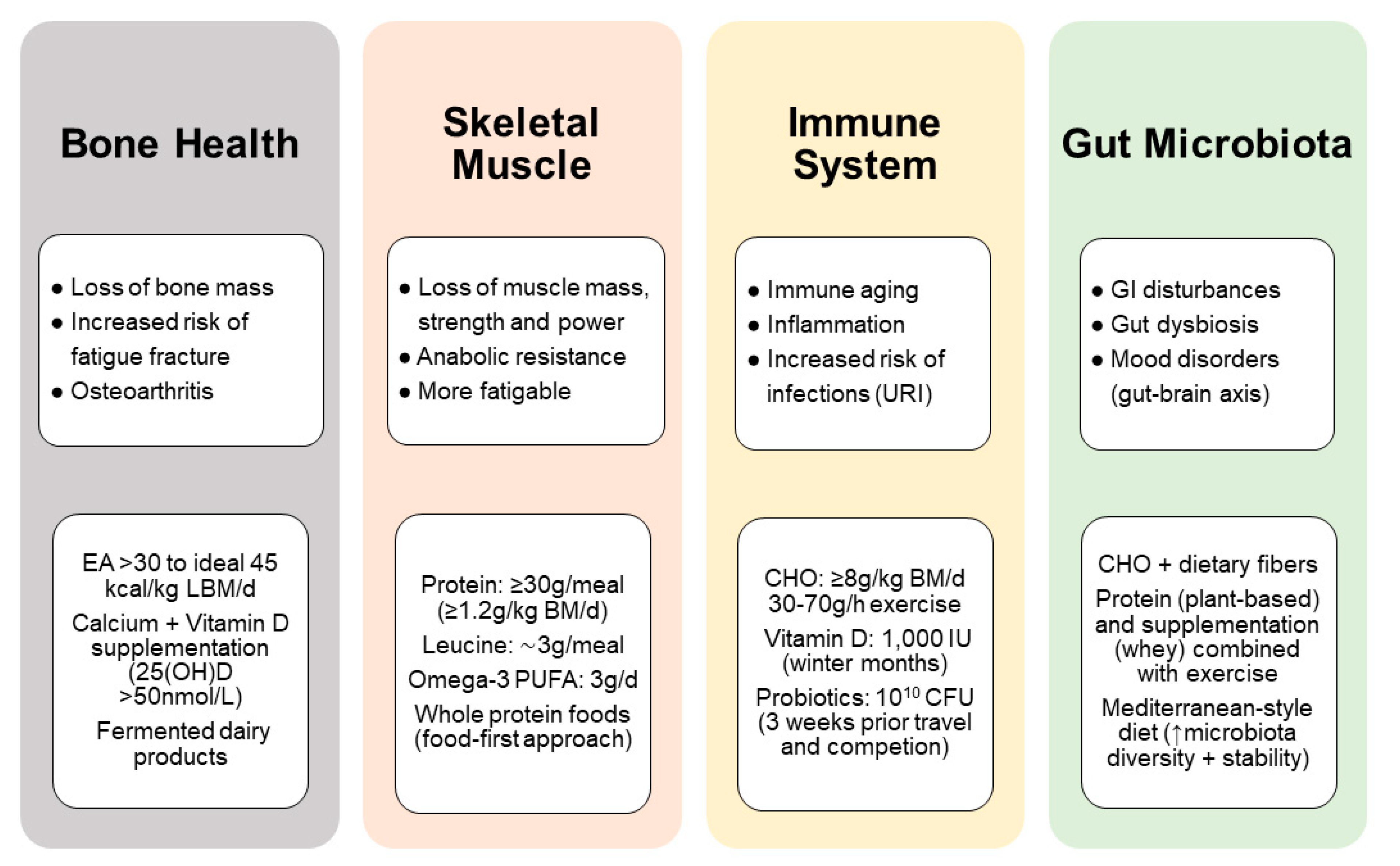 Nutrition challenges of older athletes