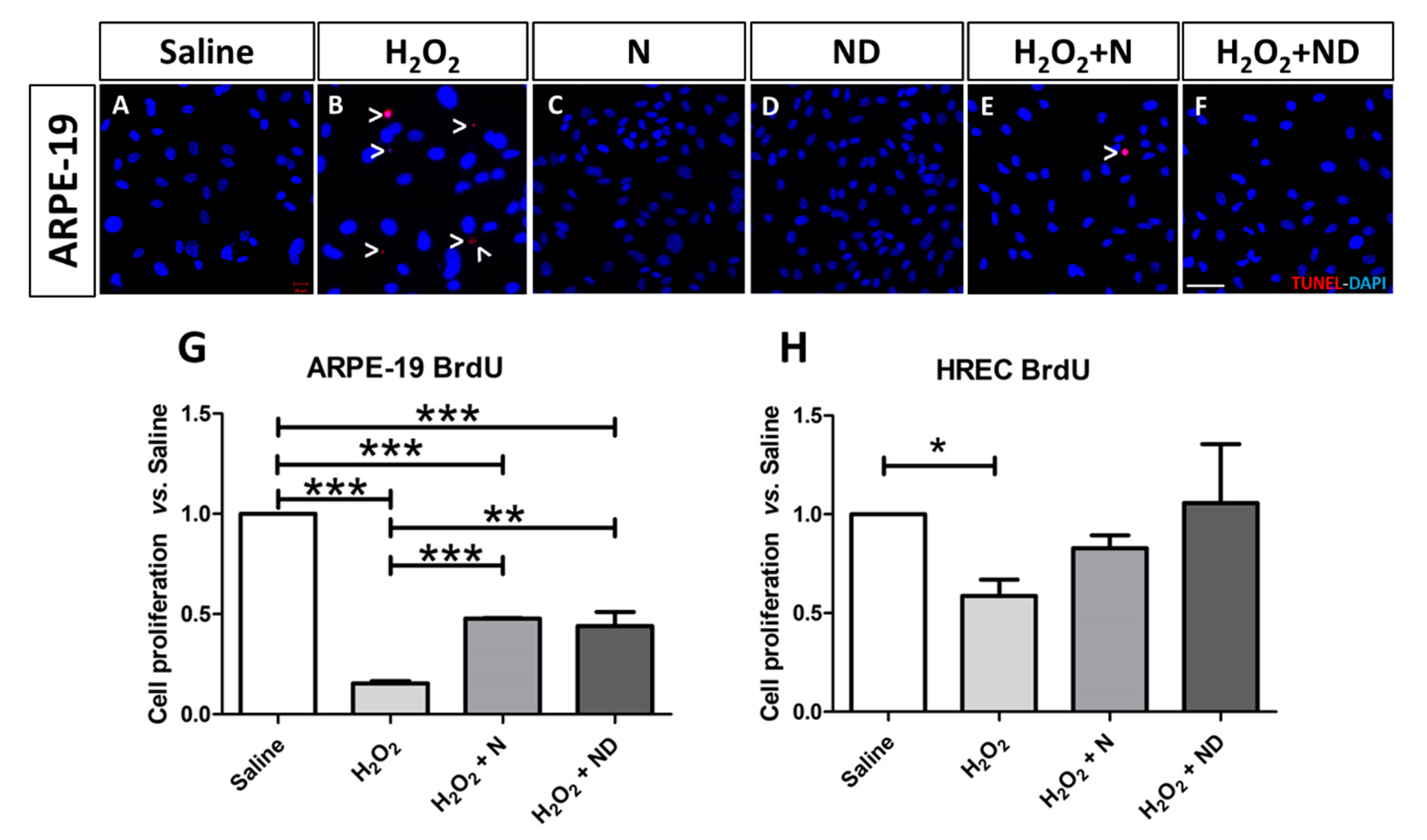 Nutrients 13 01423 g002 Nutrients 13 01423 g002