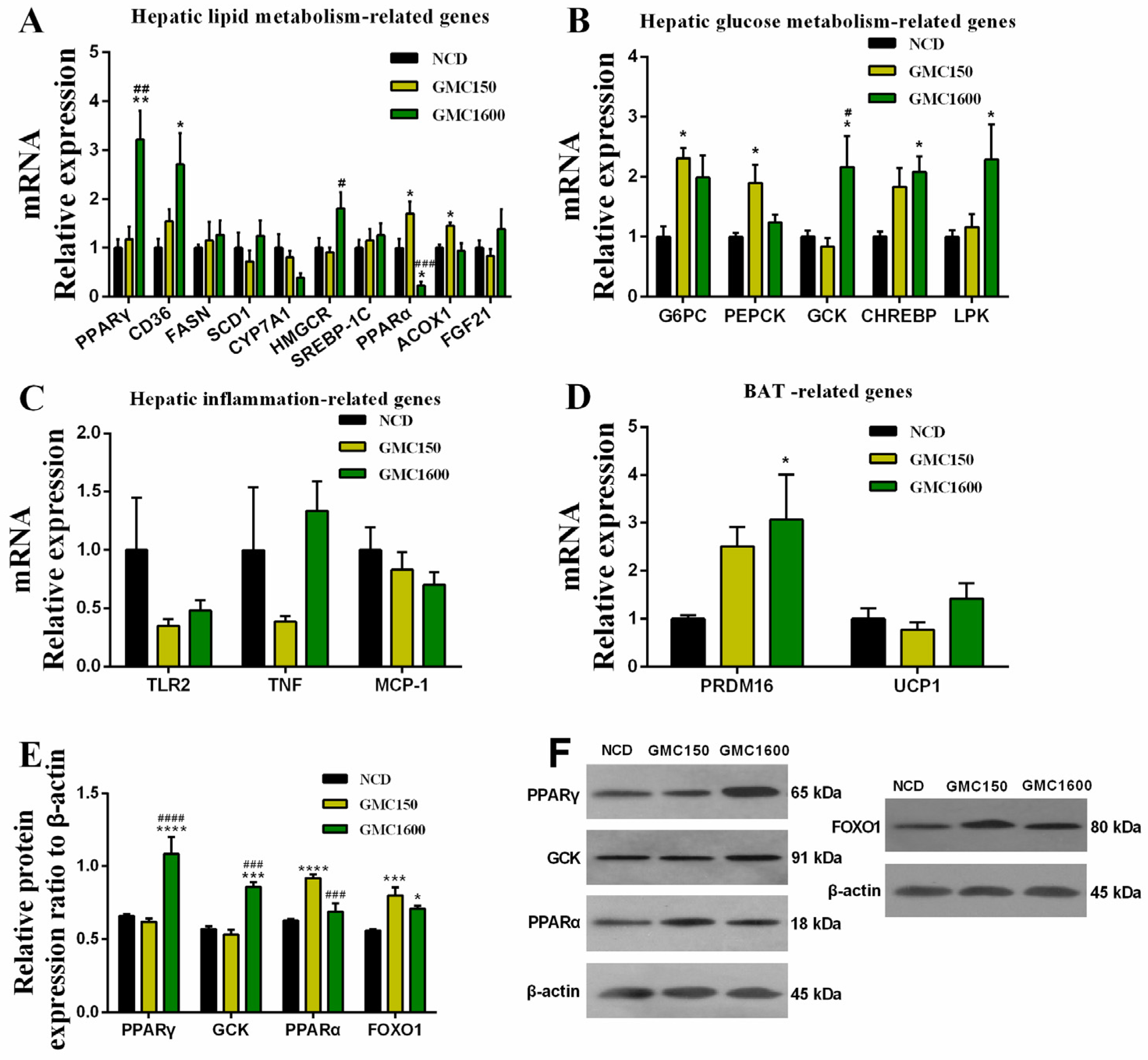 Nutrients 13 01427 g004 Nutrients 13 01427 g004