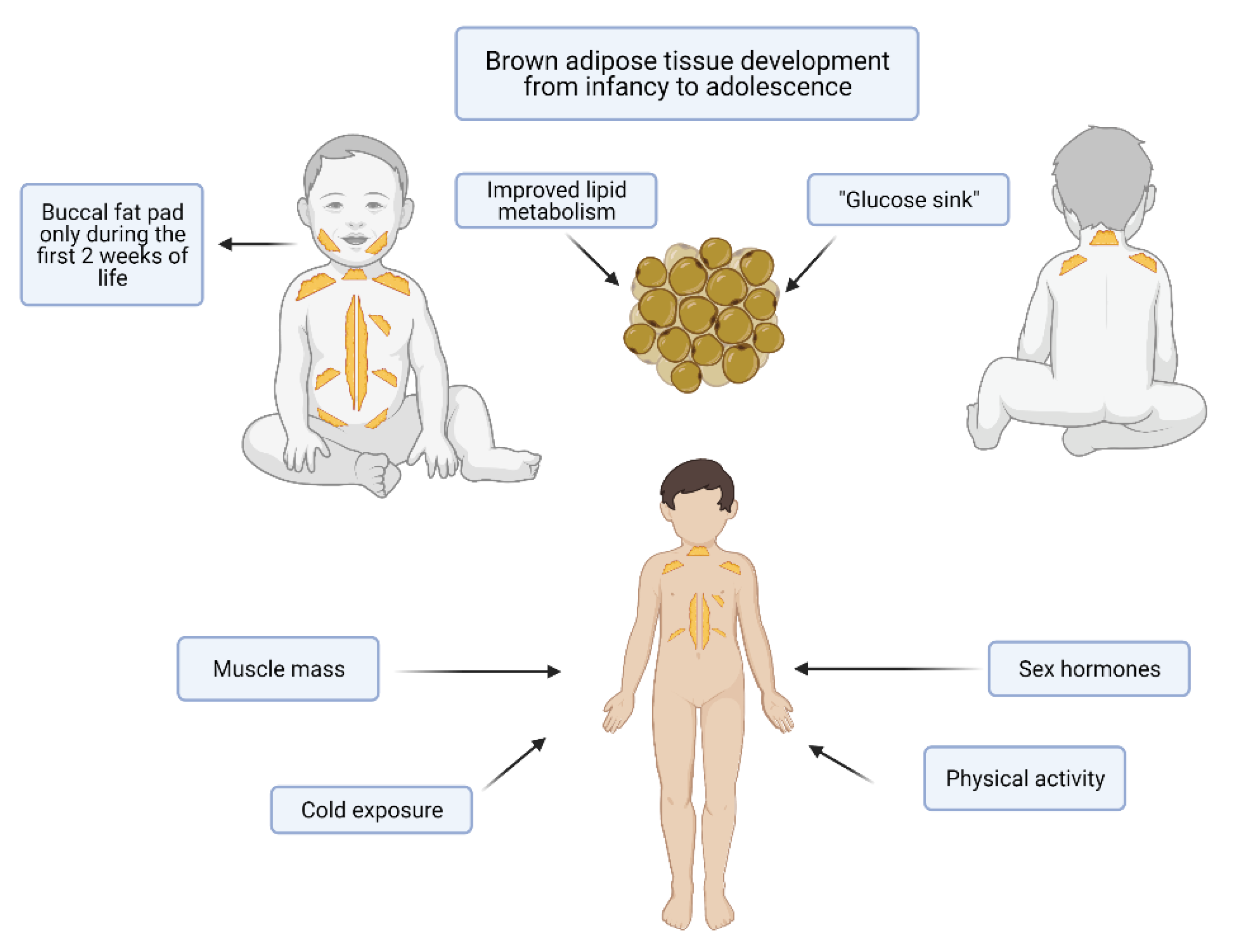 Nutrients 13 01450 g002 Nutrients 13 01450 g002
