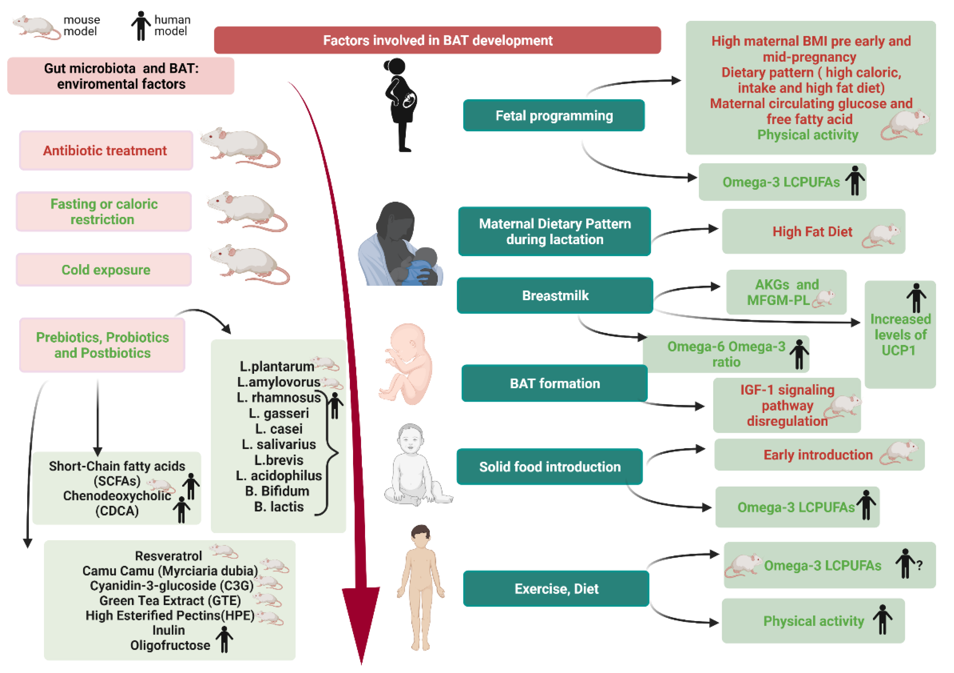 Nutrients 13 01450 g004 Nutrients 13 01450 g004