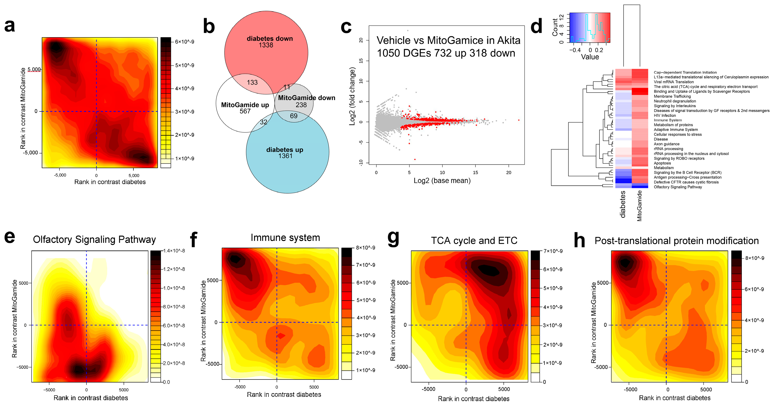 Nutrients 13 01457 g005 Nutrients 13 01457 g005