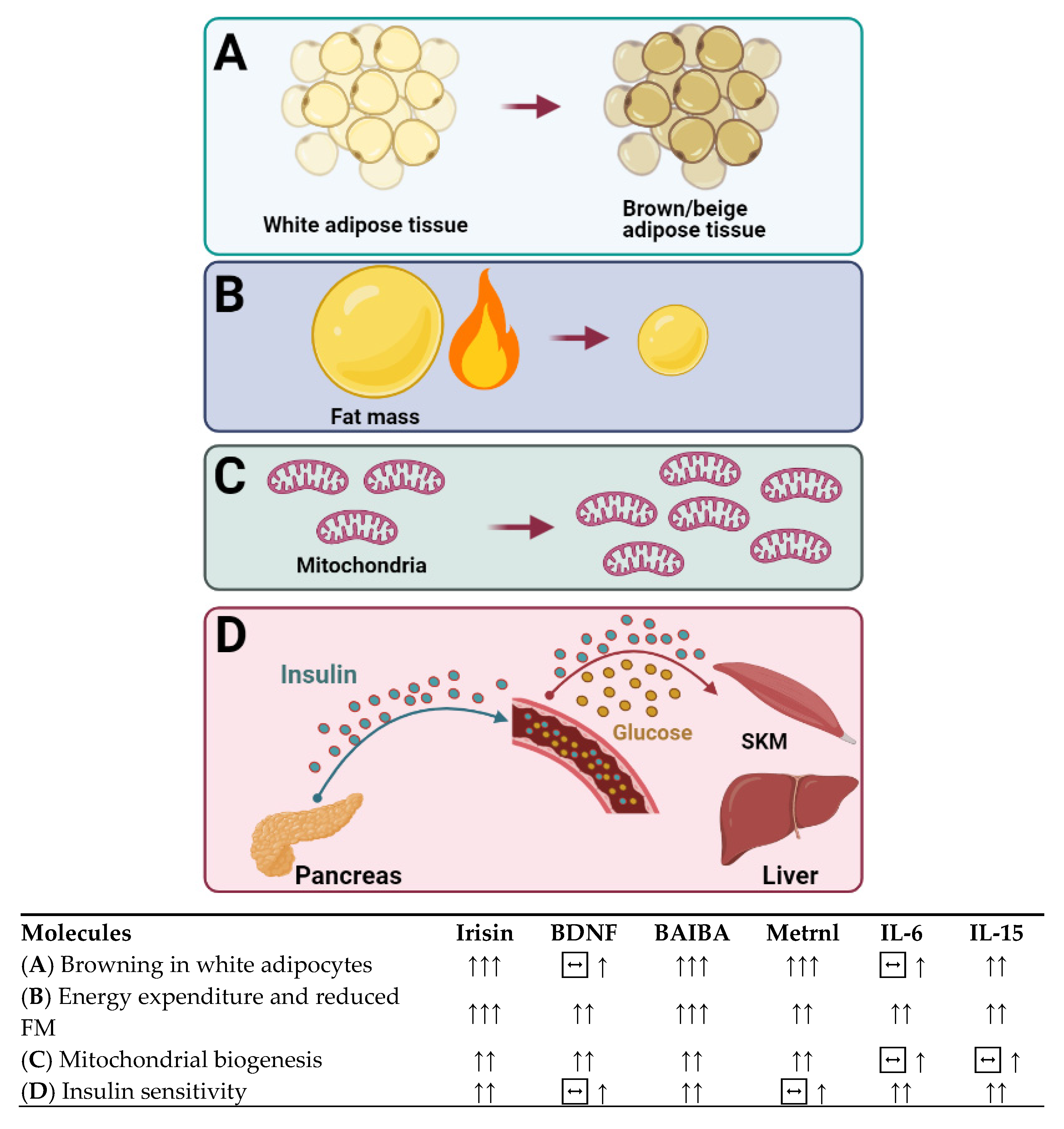 Nutrients 13 01459 g001