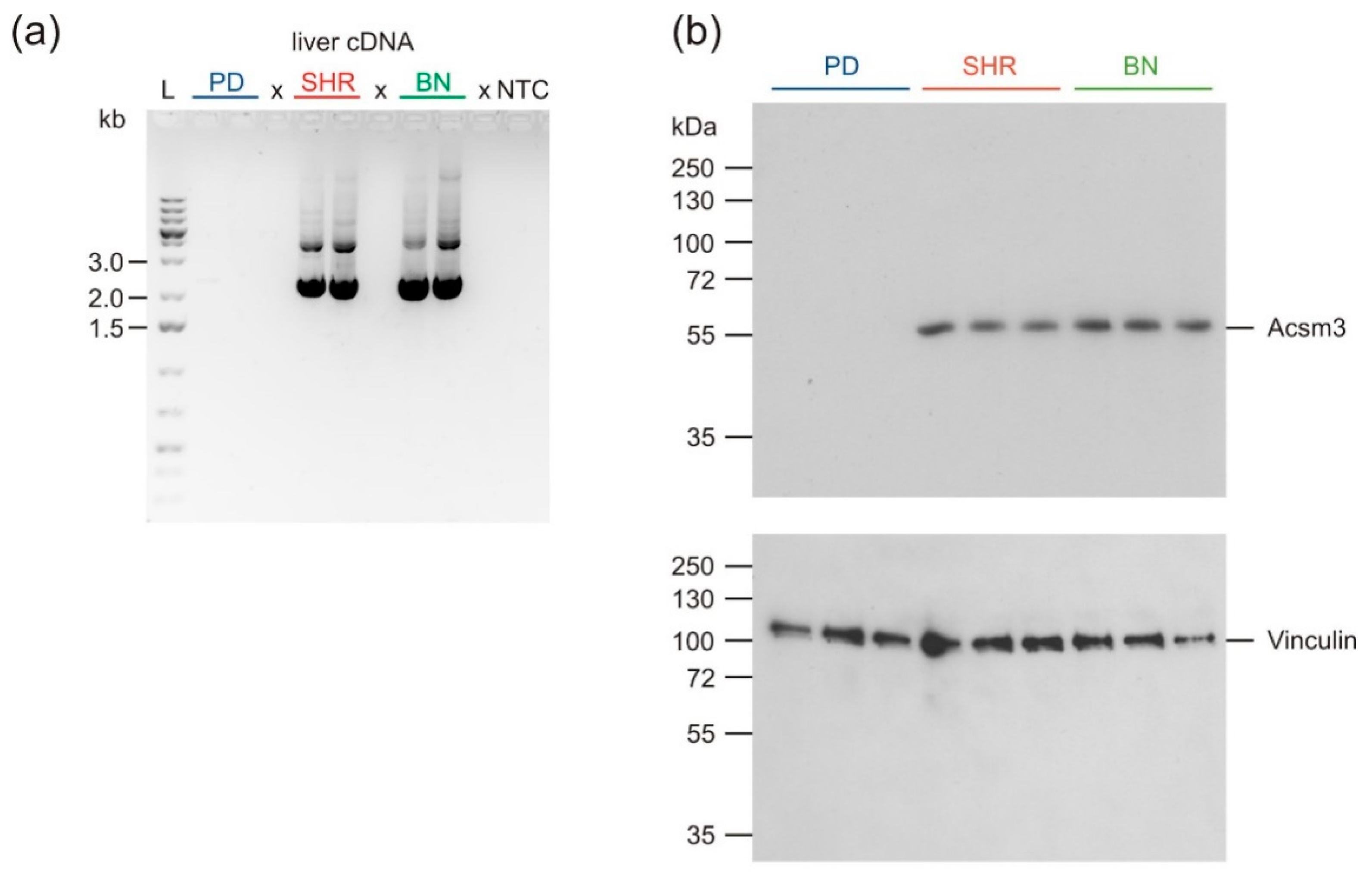 Nutrients 13 01462 g005