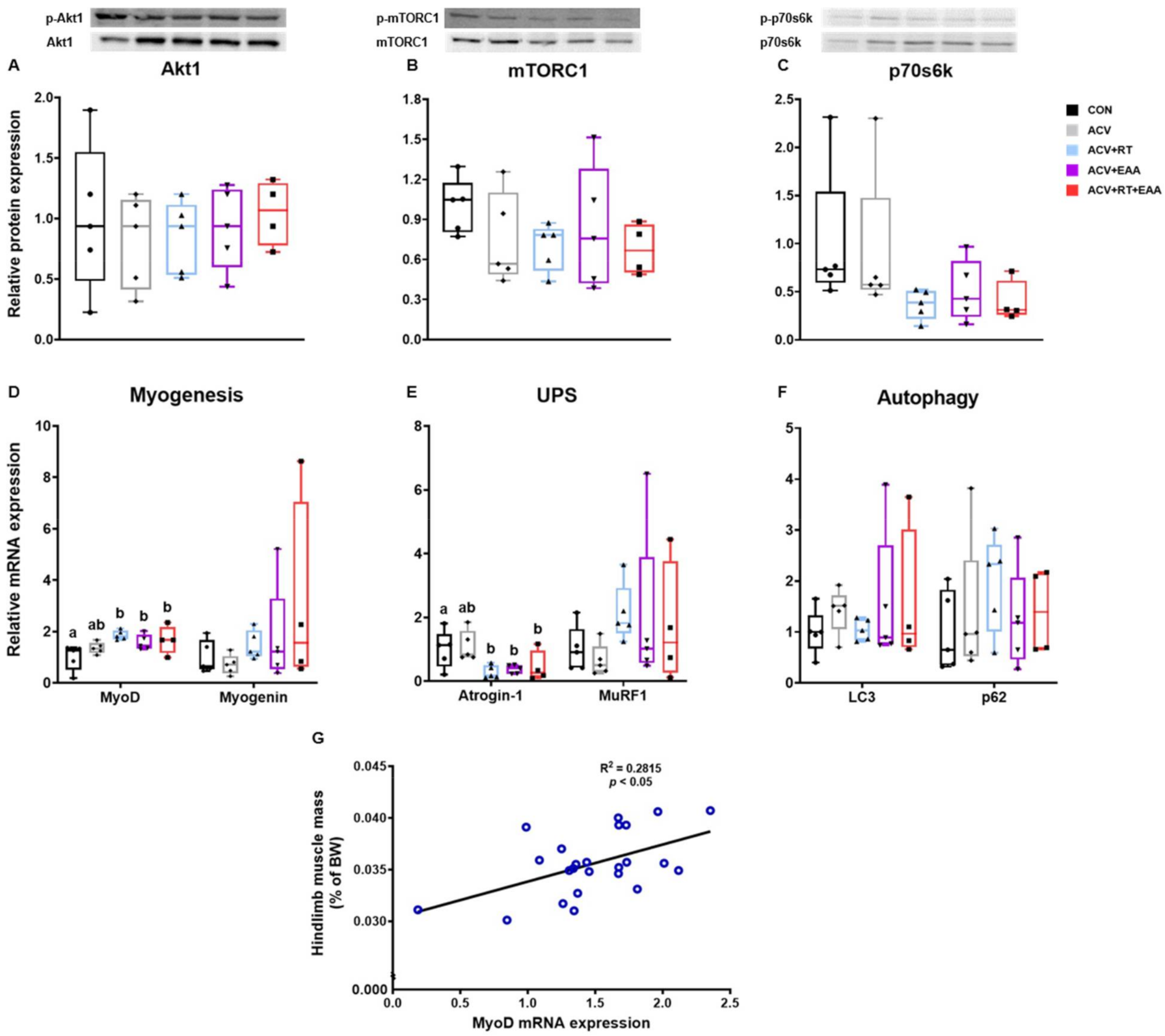 Nutrients 13 01508 g003 Nutrients 13 01508 g003