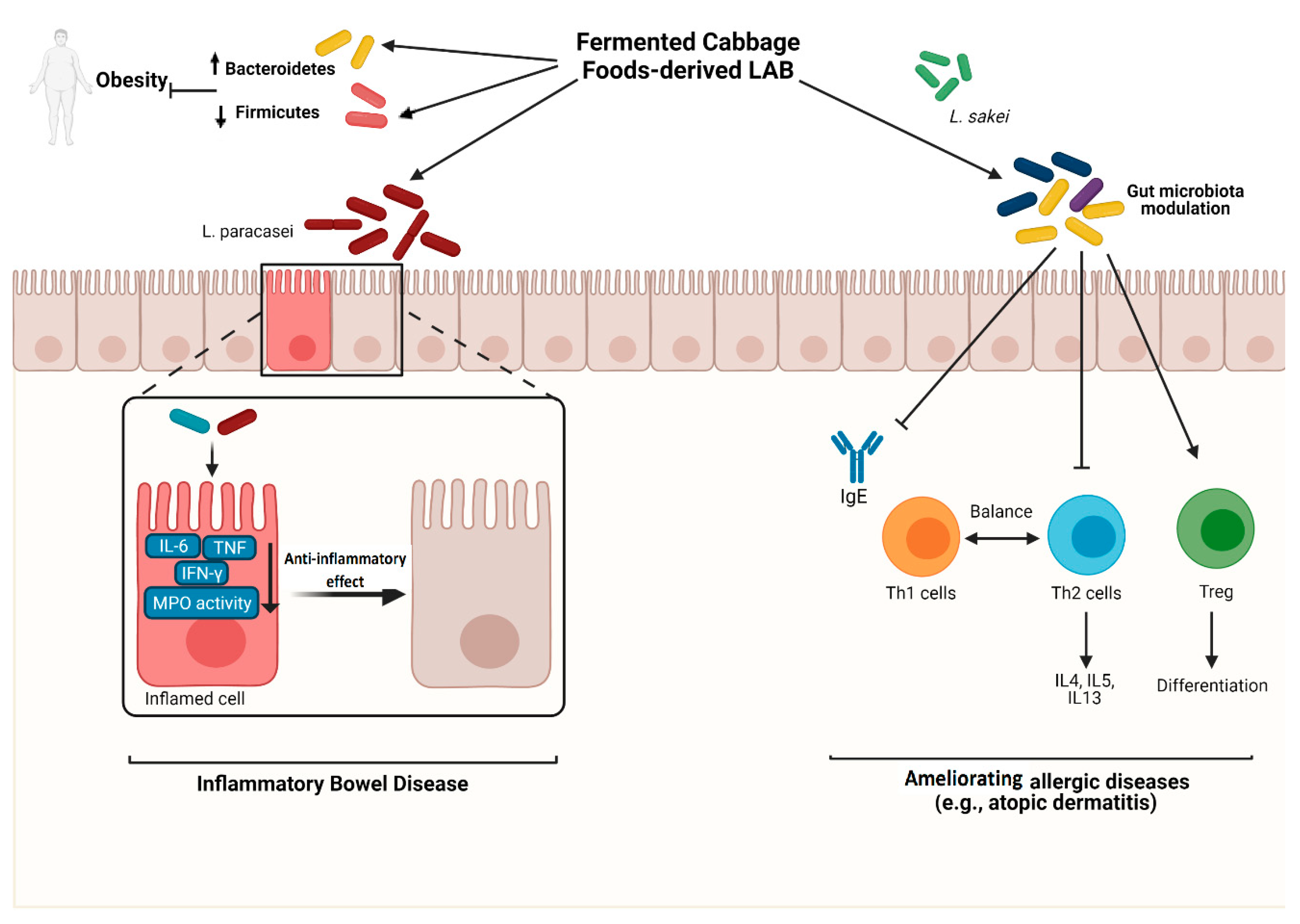 Nutrients 13 01516 g002 Nutrients 13 01516 g002