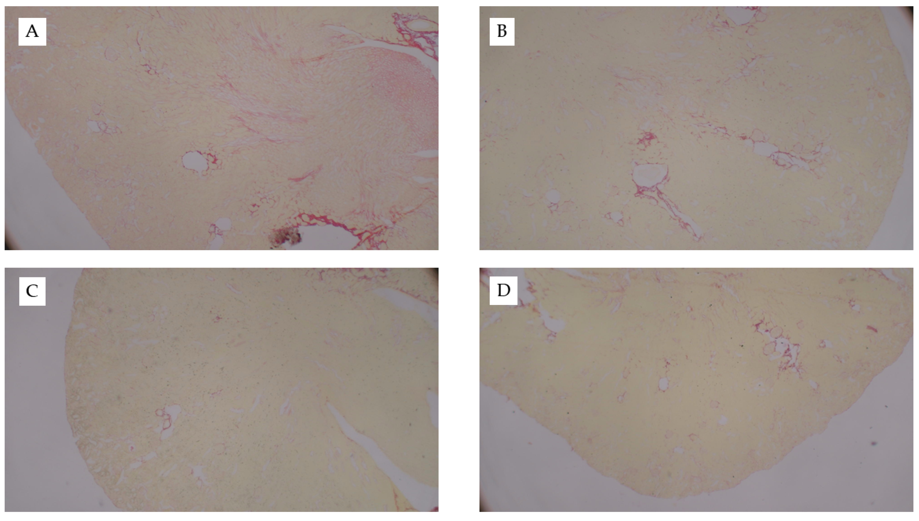 Nutrients 13 01521 g0a1