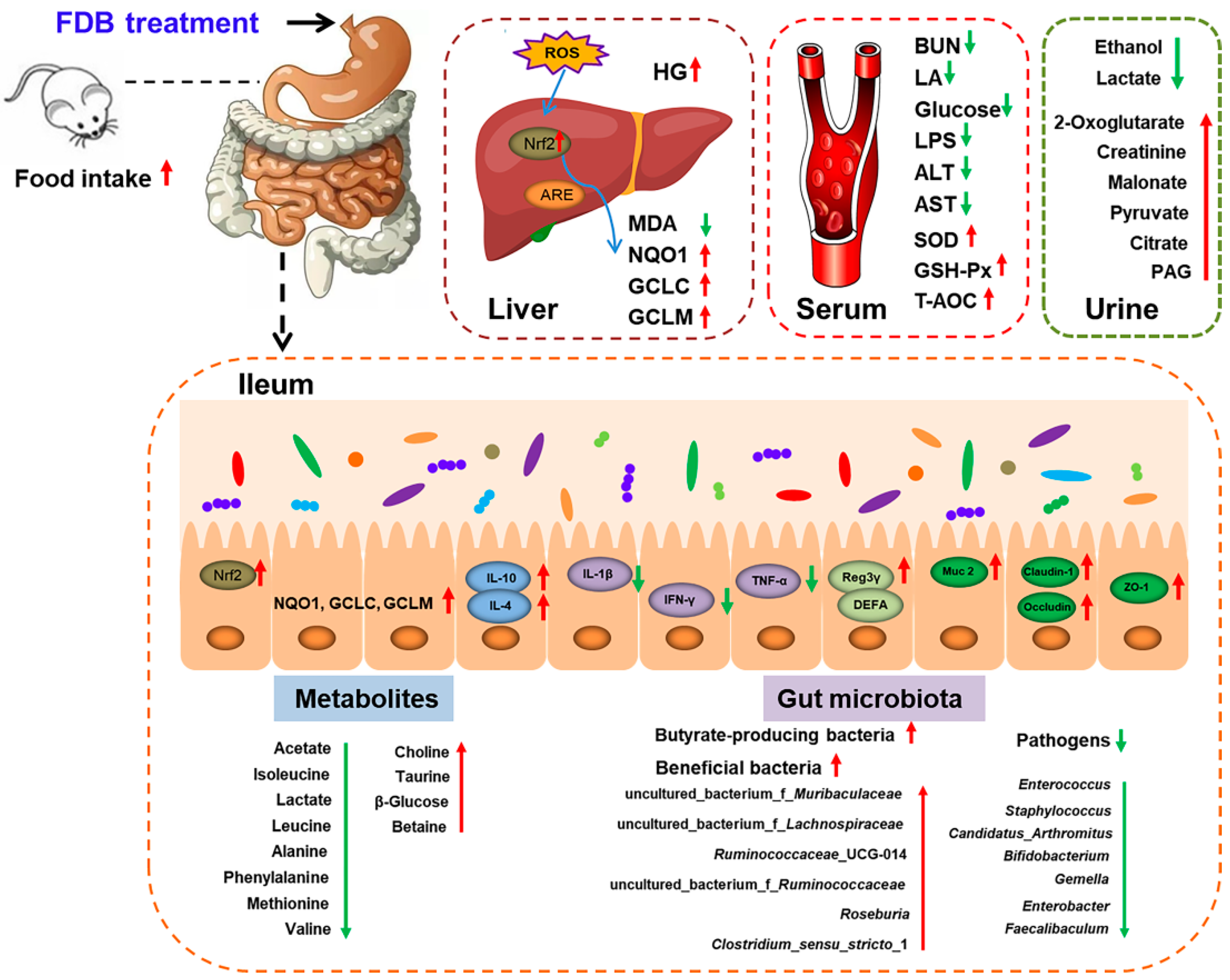 Nutrients 13 01543 g006