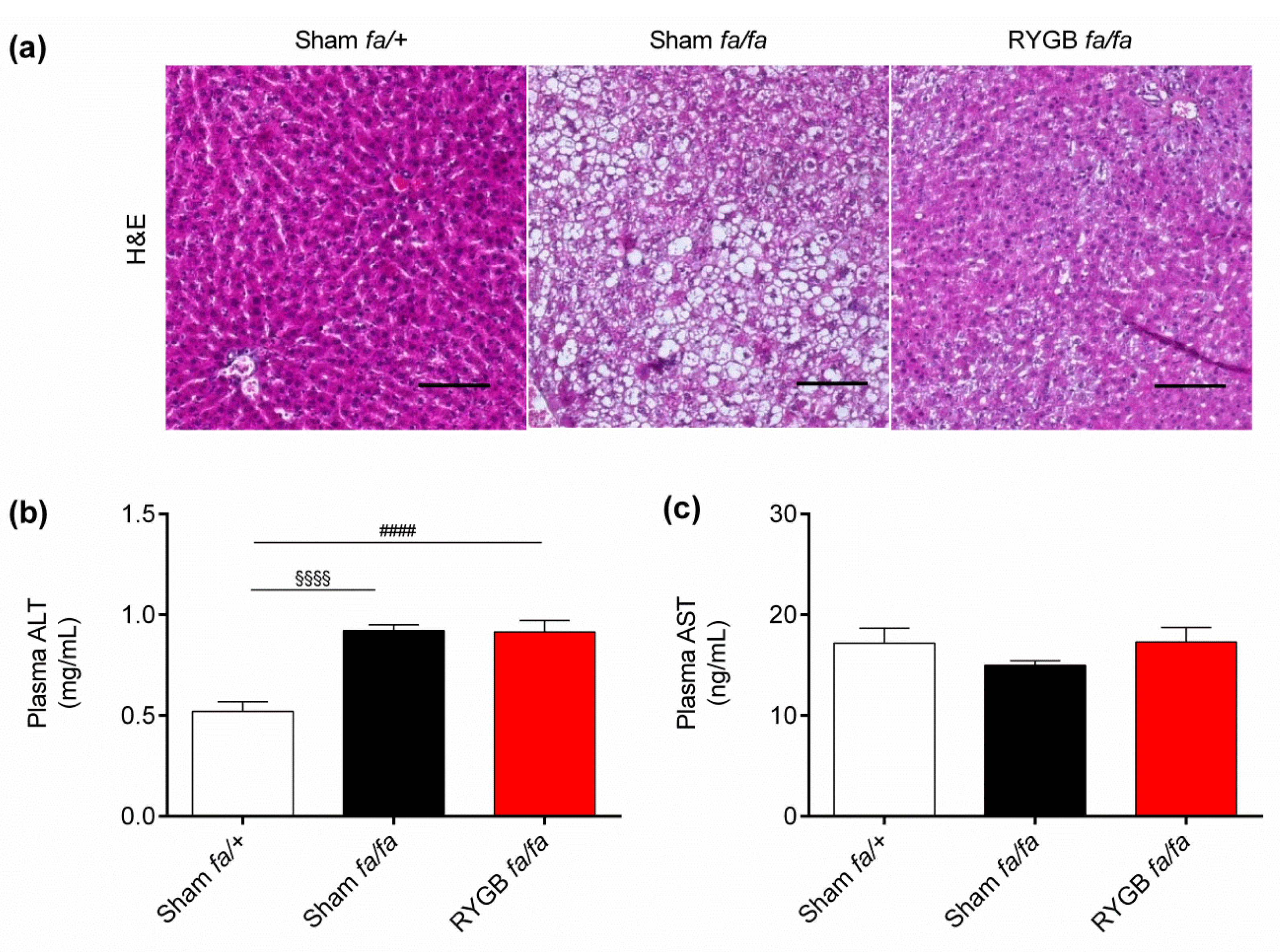 Nutrients 13 01544 g004