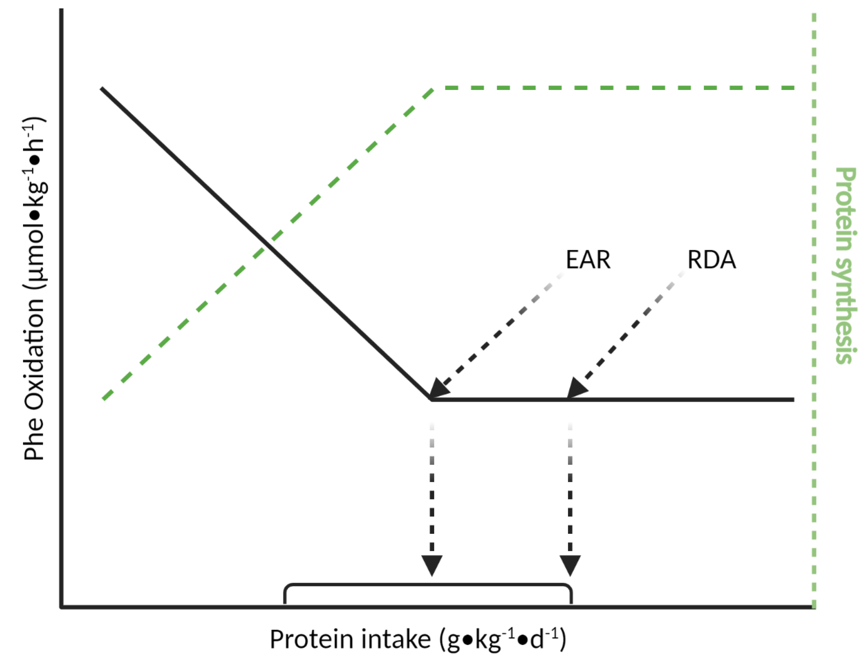 Nutrients 13 01554 g001