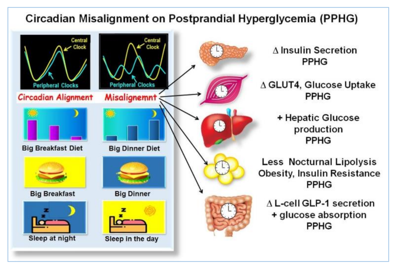Nutrients 13 01558 g002