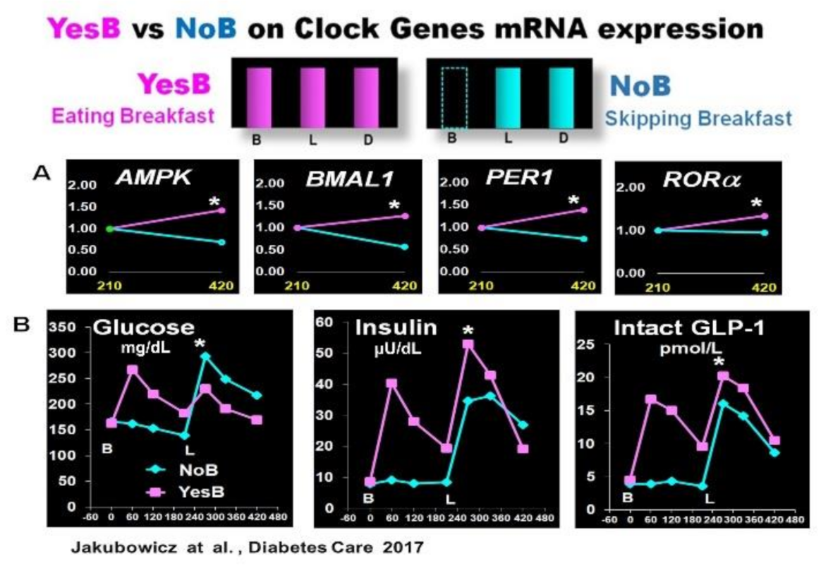 Nutrients 13 01558 g003