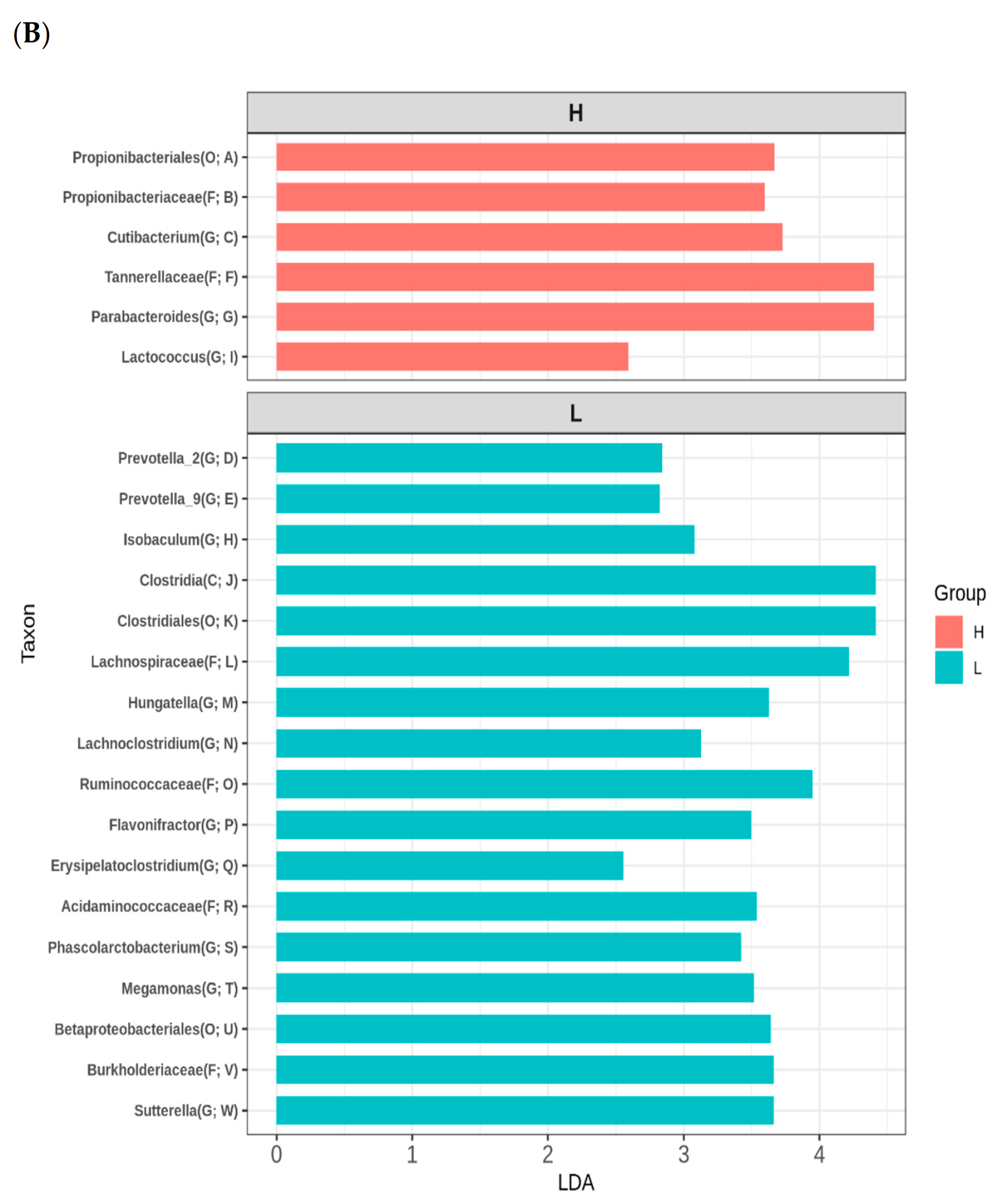 Nutrients Free Full Text Maternal Vegetable And Fruit Consumption During Pregnancy And Its Effects On Infant Gut Microbiome Html