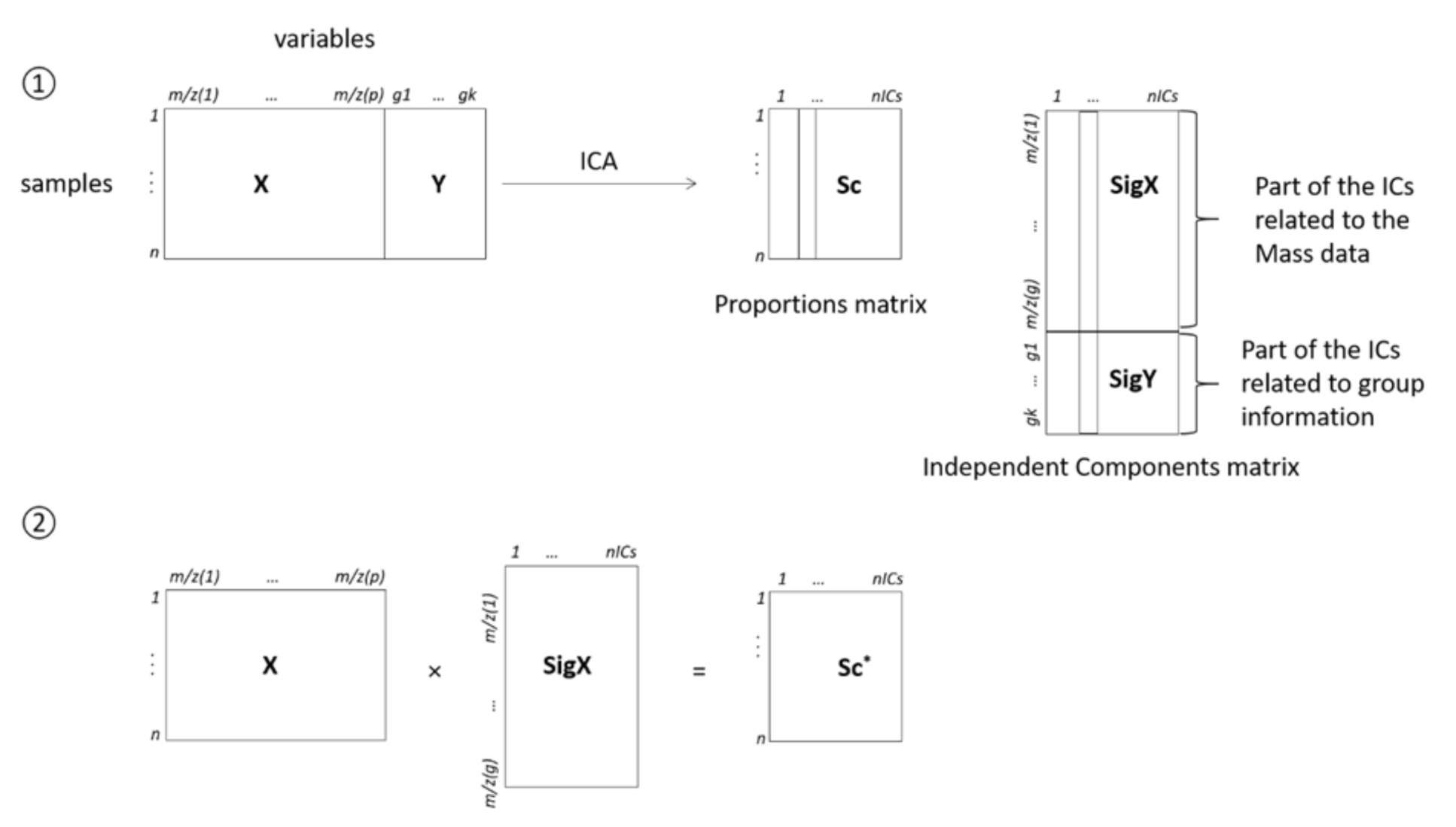 Nutrients 13 01567 g001 Nutrients 13 01567 g001