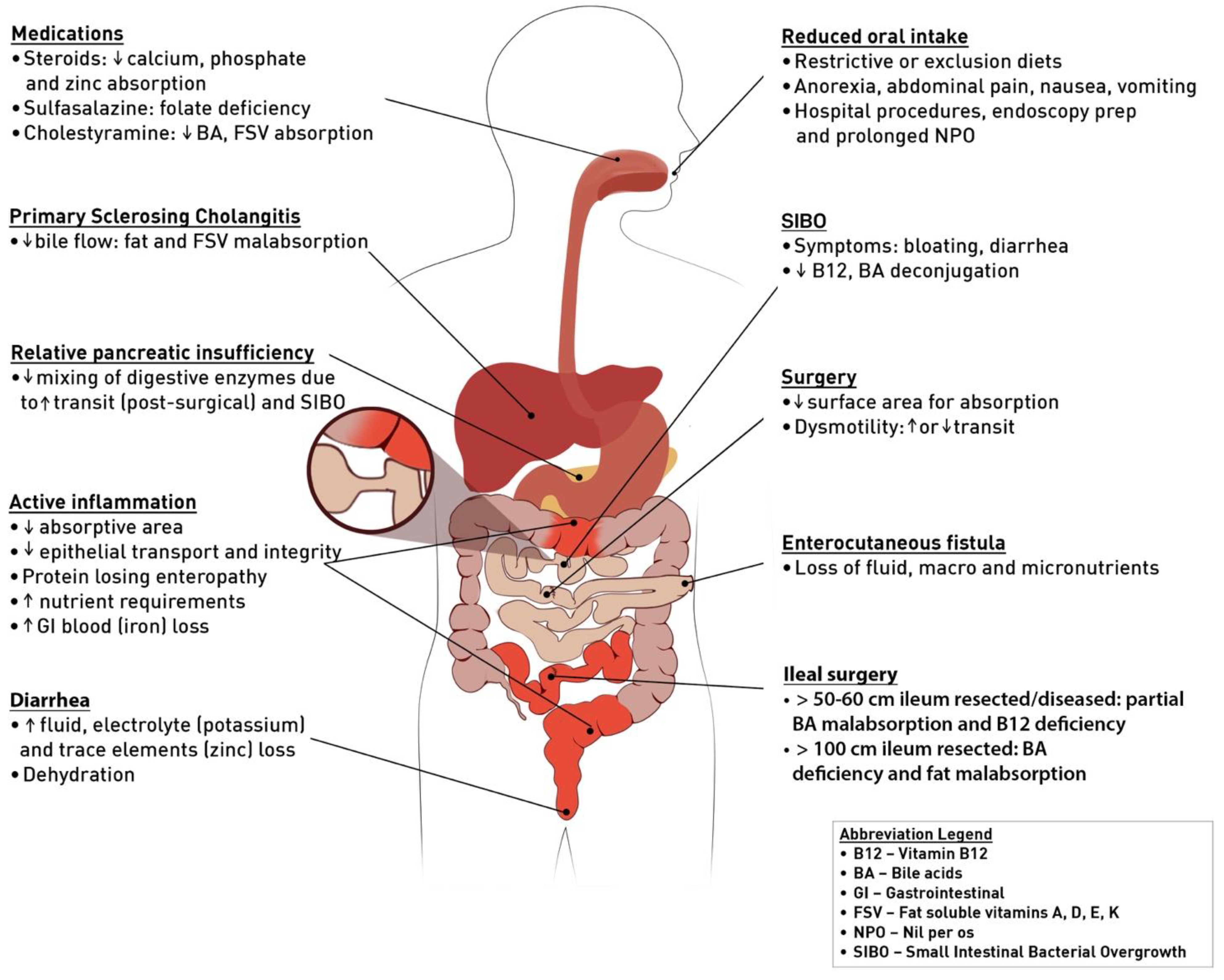 Nutrients 13 01581 g001