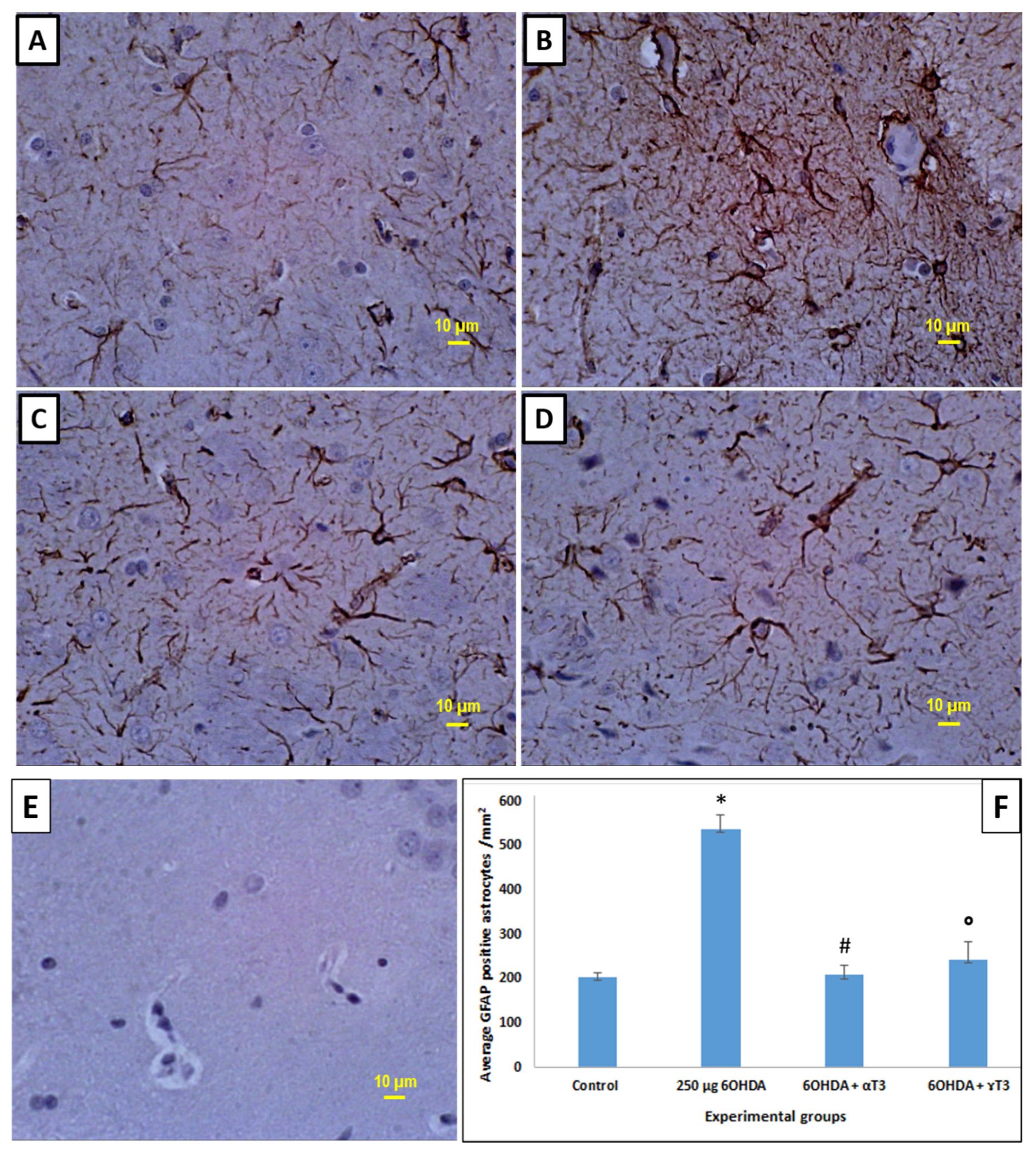 Nutrients 13 01583 g007