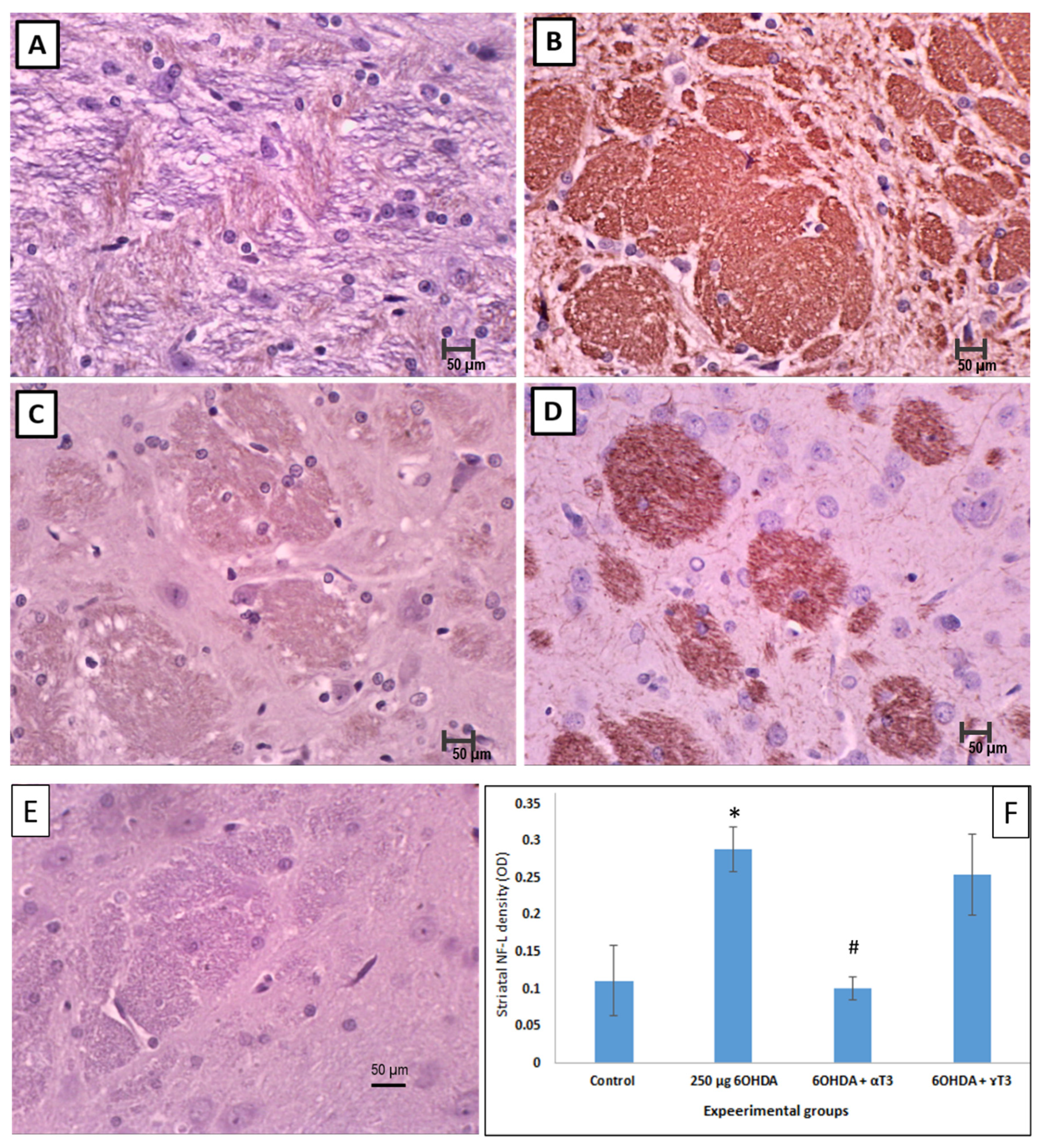 Nutrients 13 01583 g008