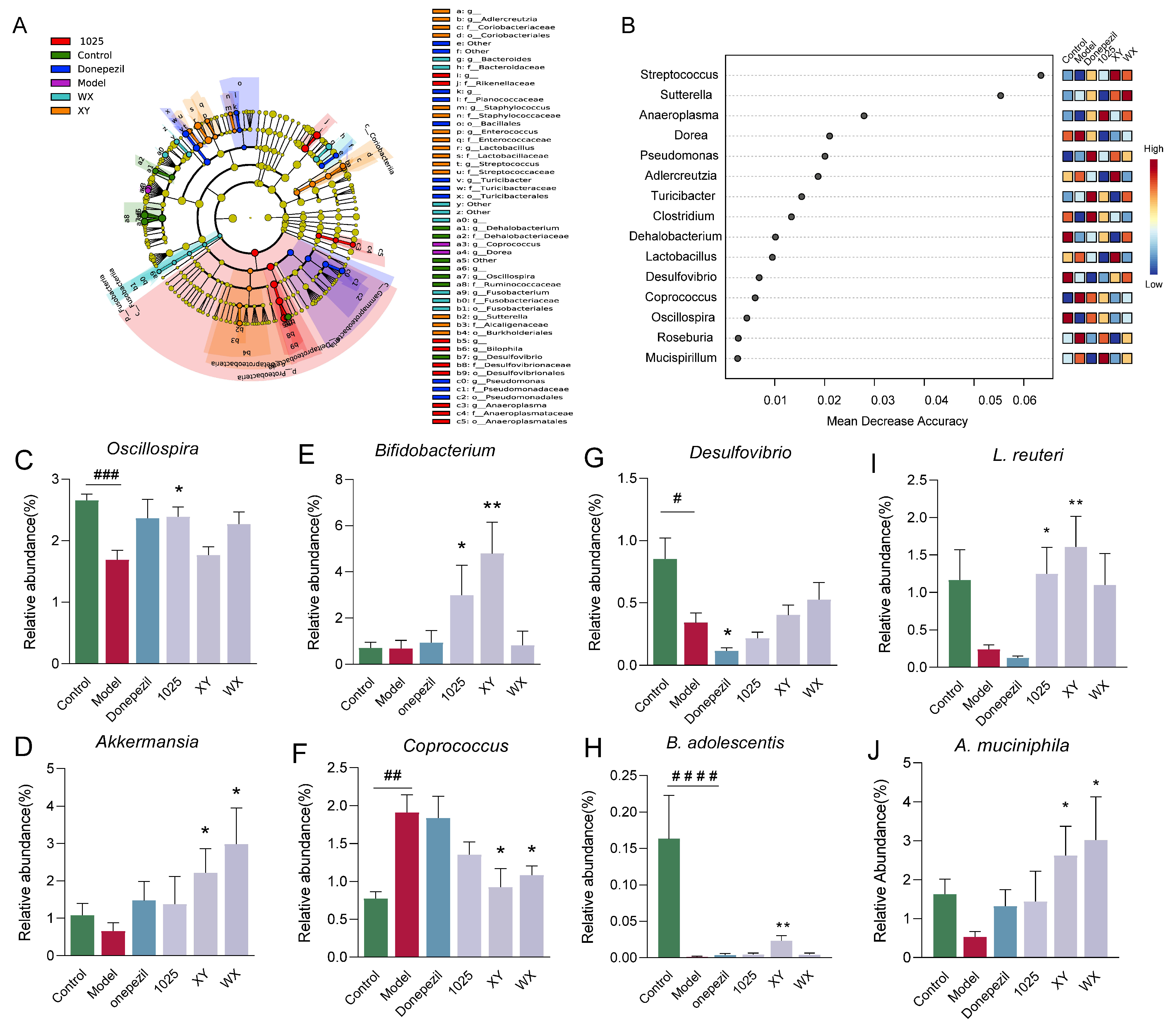 Nutrients 13 01602 g007 Nutrients 13 01602 g007