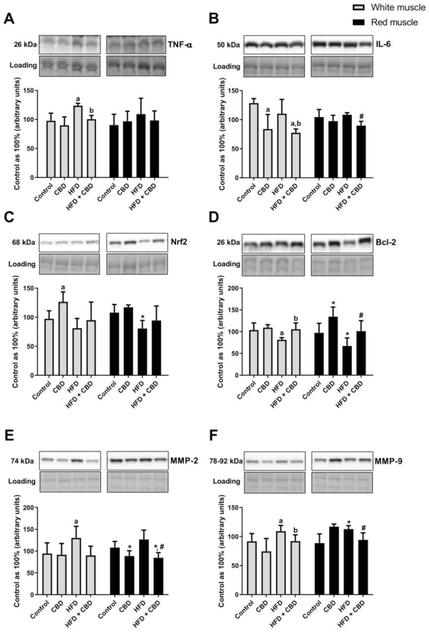 Nutrients 13 01603 g005