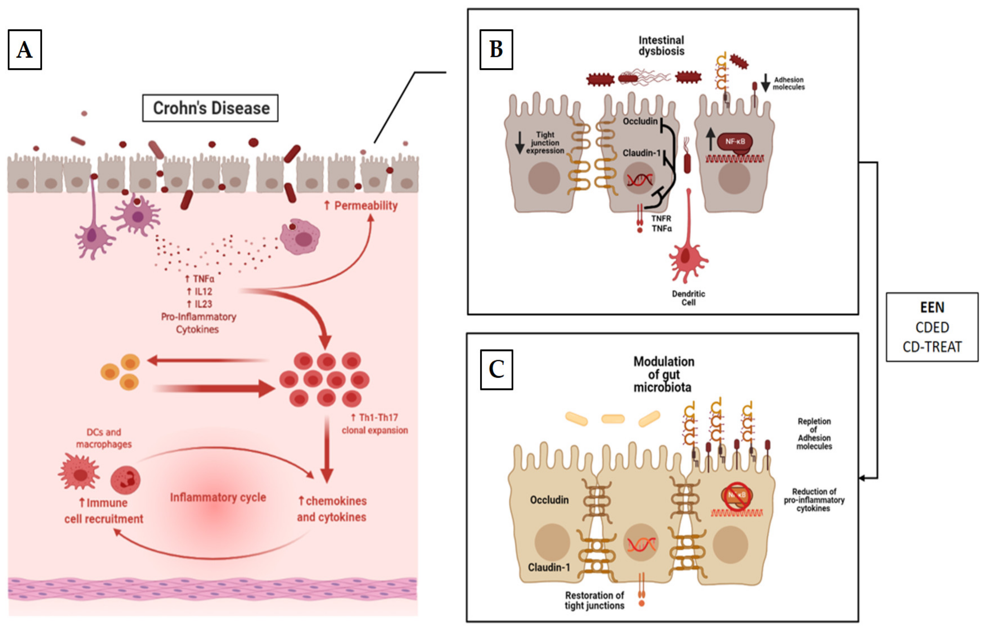 Nutrients 13 01611 g002