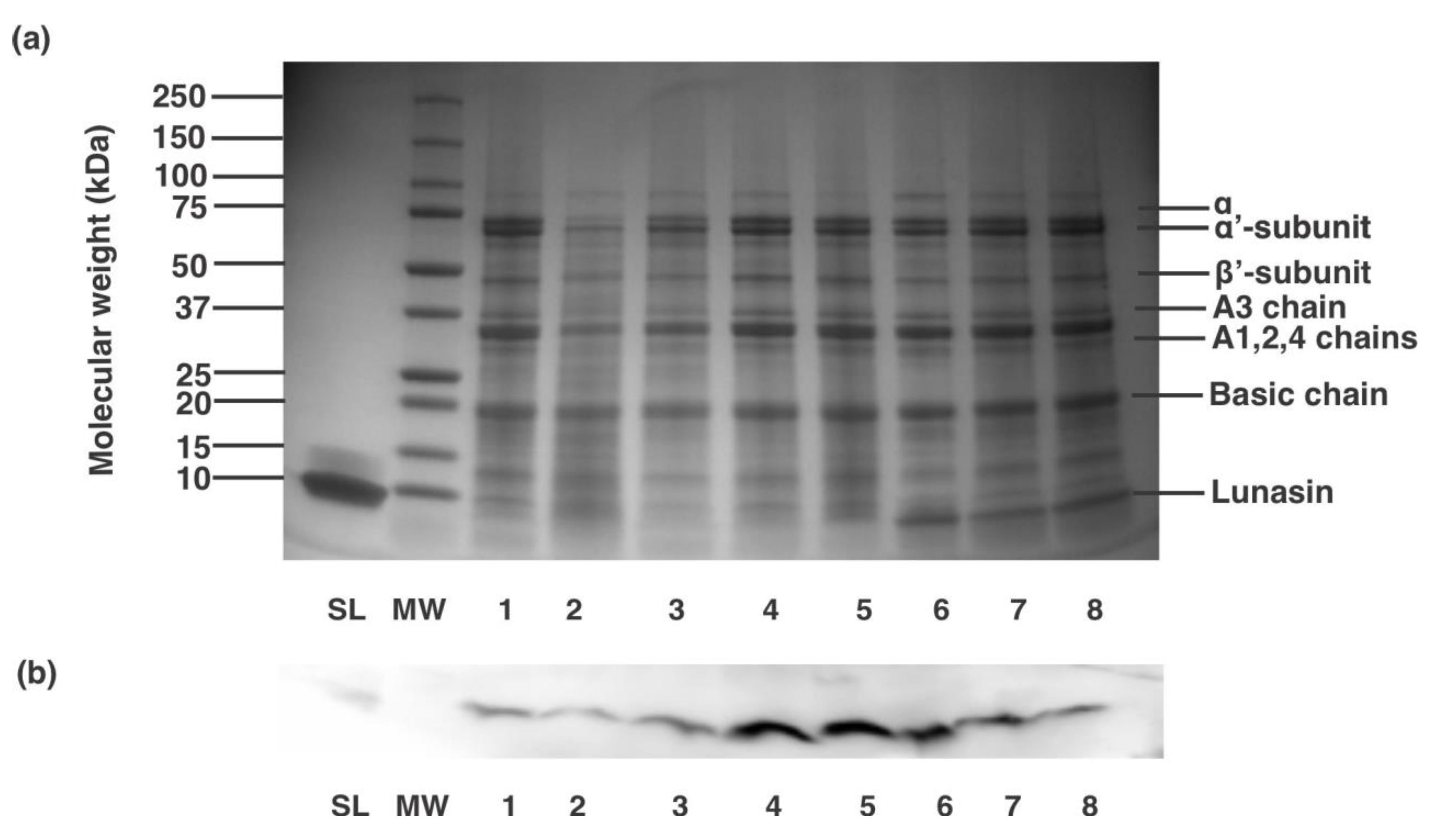 Nutrients 13 01618 g001