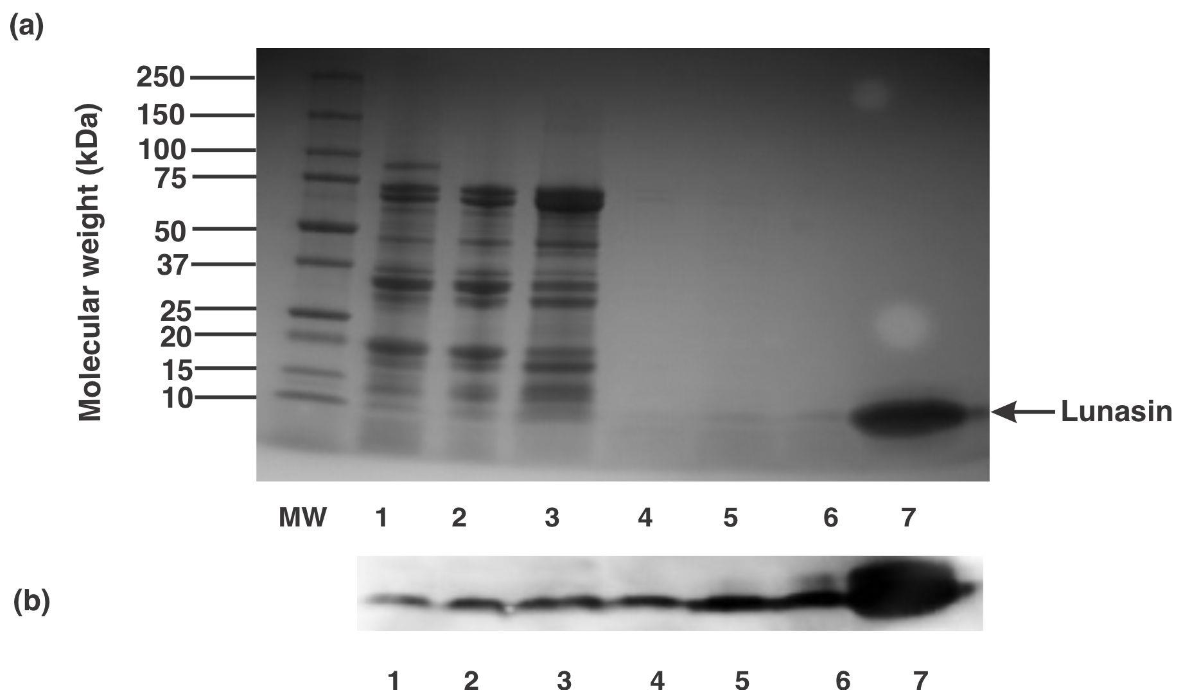 Nutrients 13 01618 g003