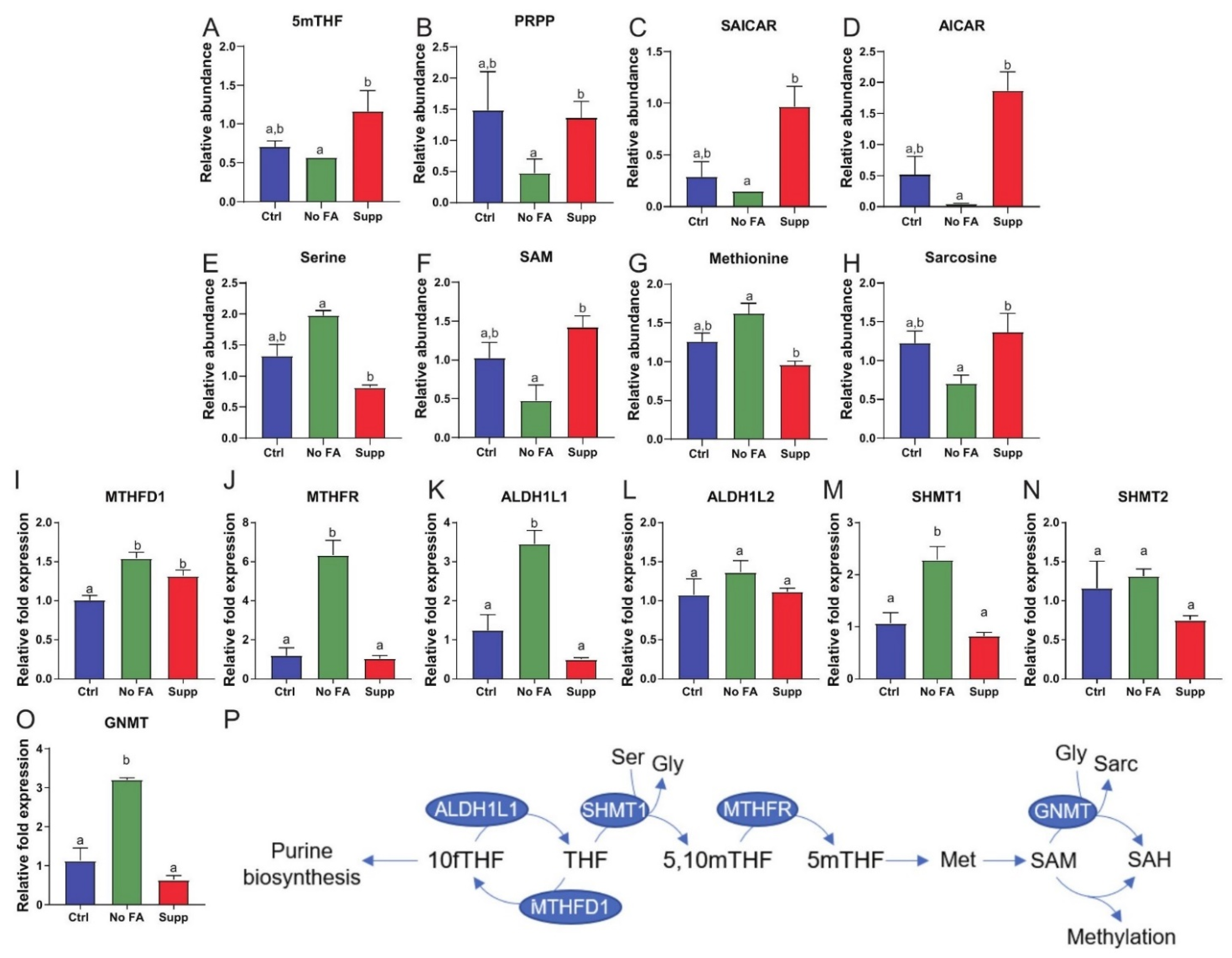 Nutrients 13 01637 g002 Nutrients 13 01637 g002