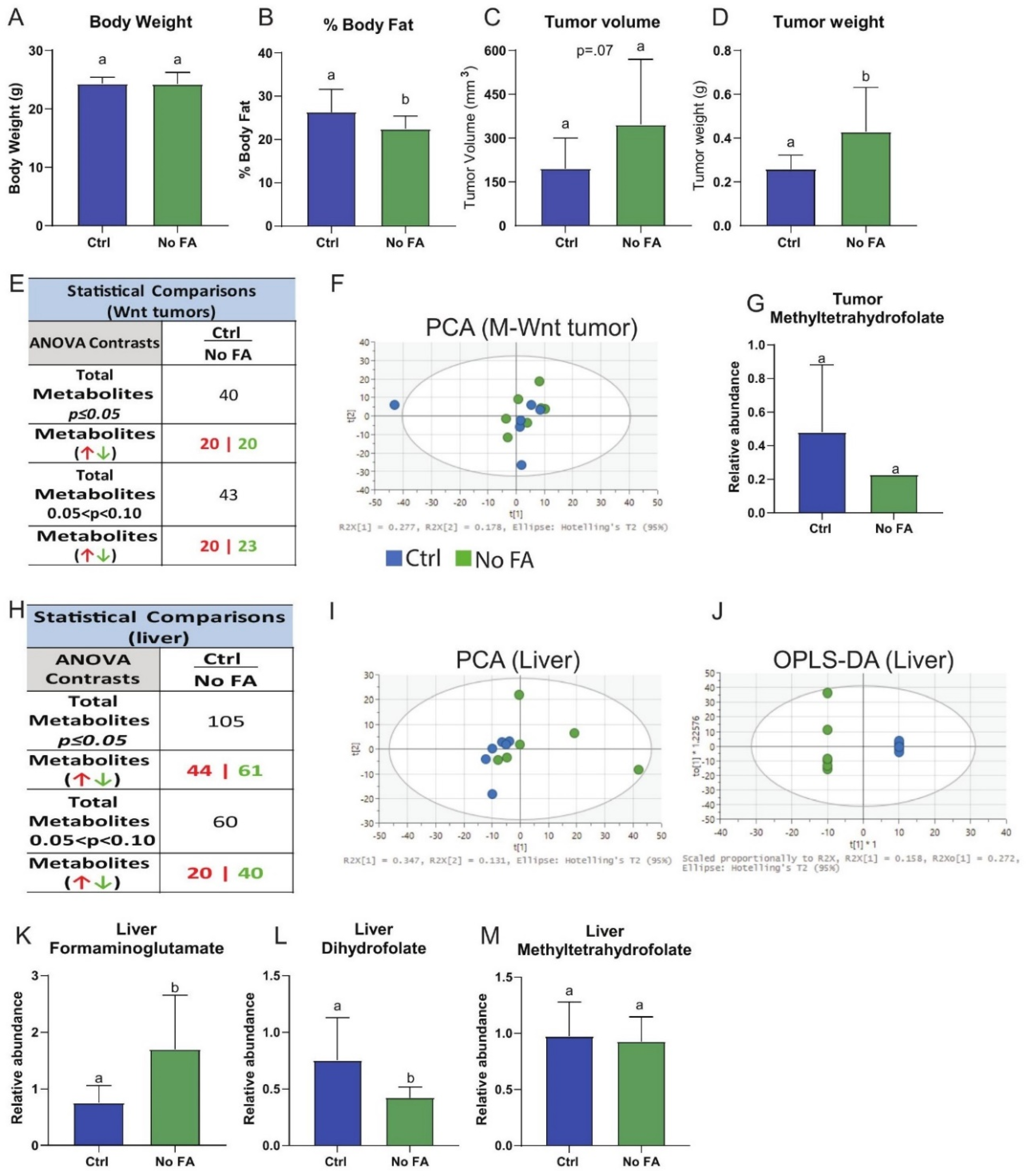 Nutrients 13 01637 g007 Nutrients 13 01637 g007