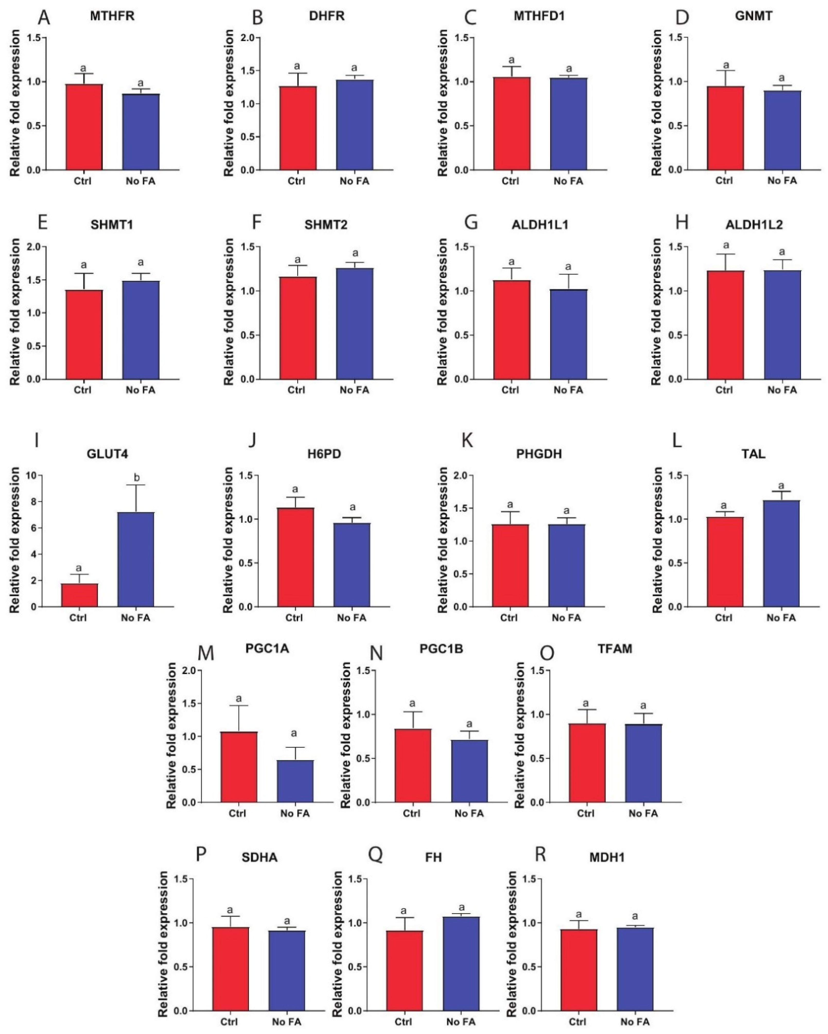 Nutrients 13 01637 g008 Nutrients 13 01637 g008