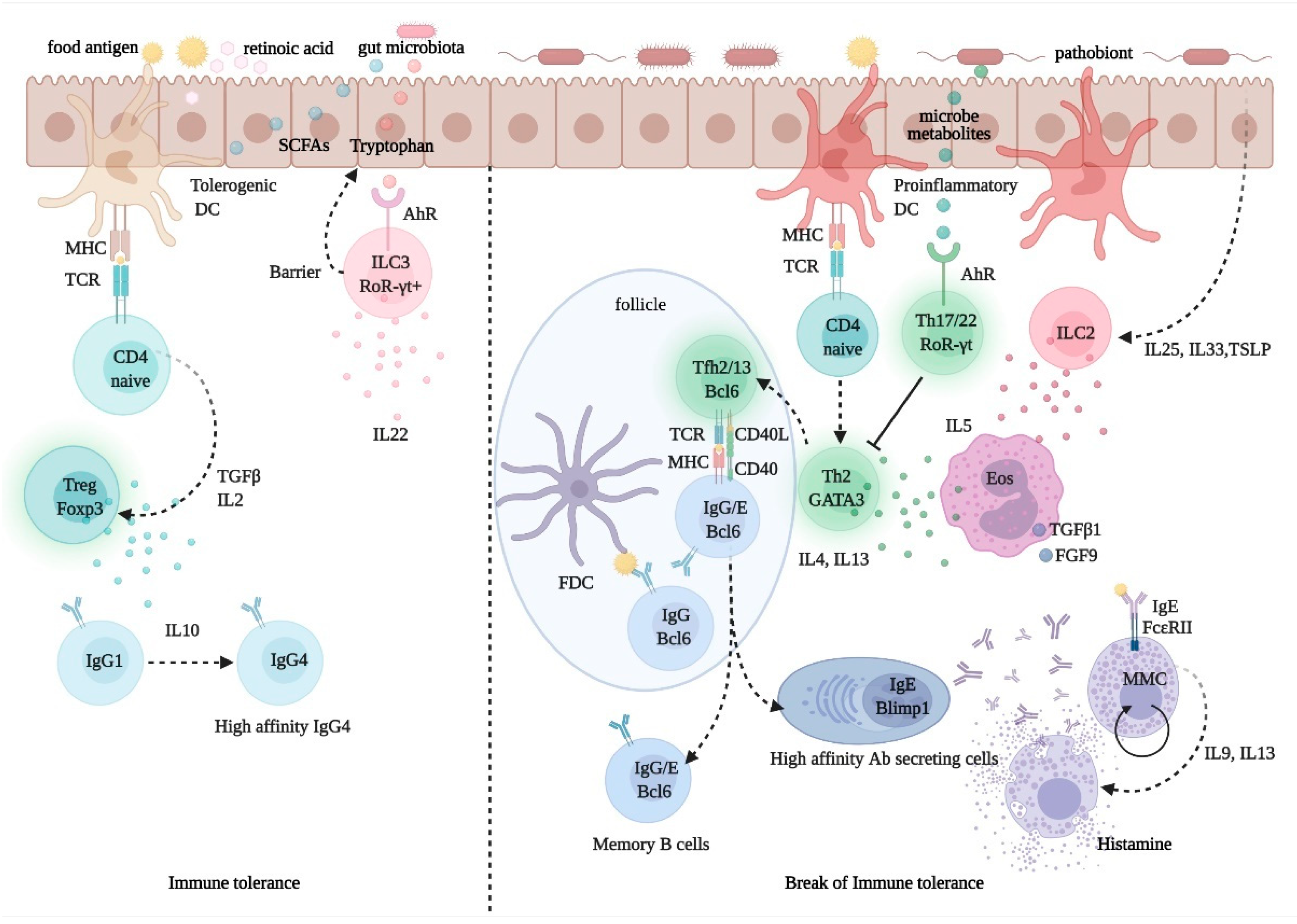 Nutrients 13 01638 g003 Nutrients 13 01638 g003