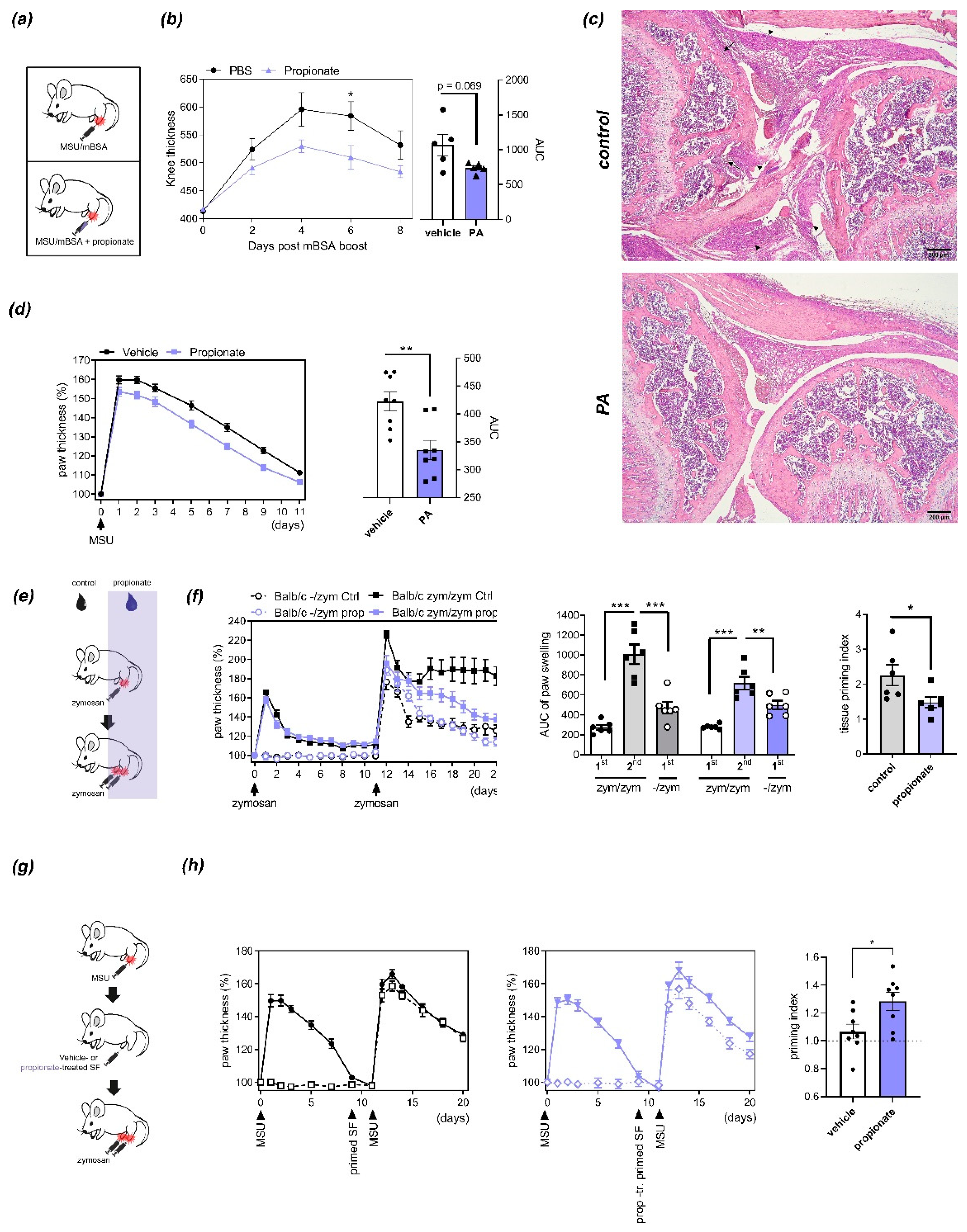 Nutrients 13 01643 g001 Nutrients 13 01643 g001