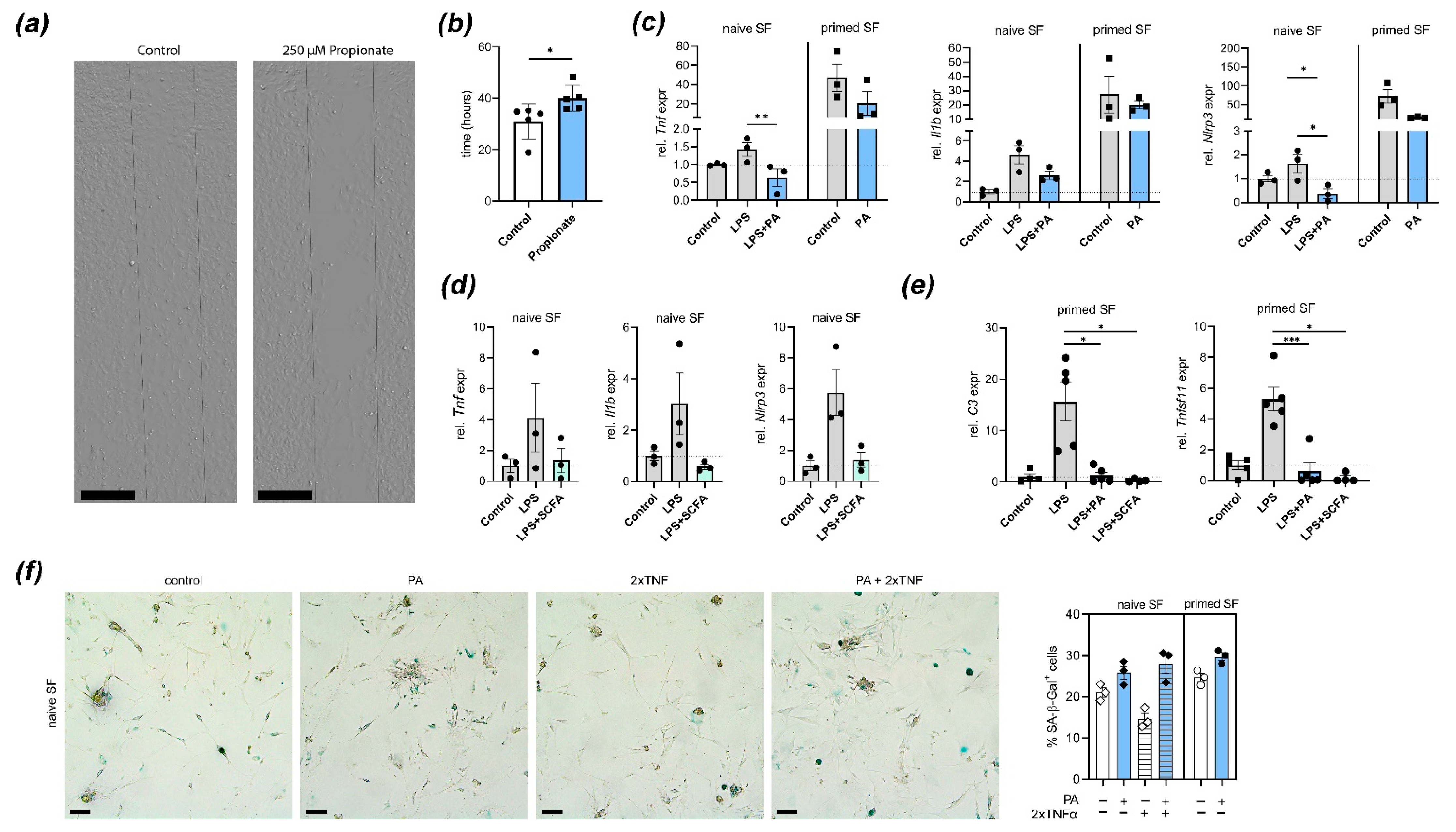 Nutrients 13 01643 g002 Nutrients 13 01643 g002