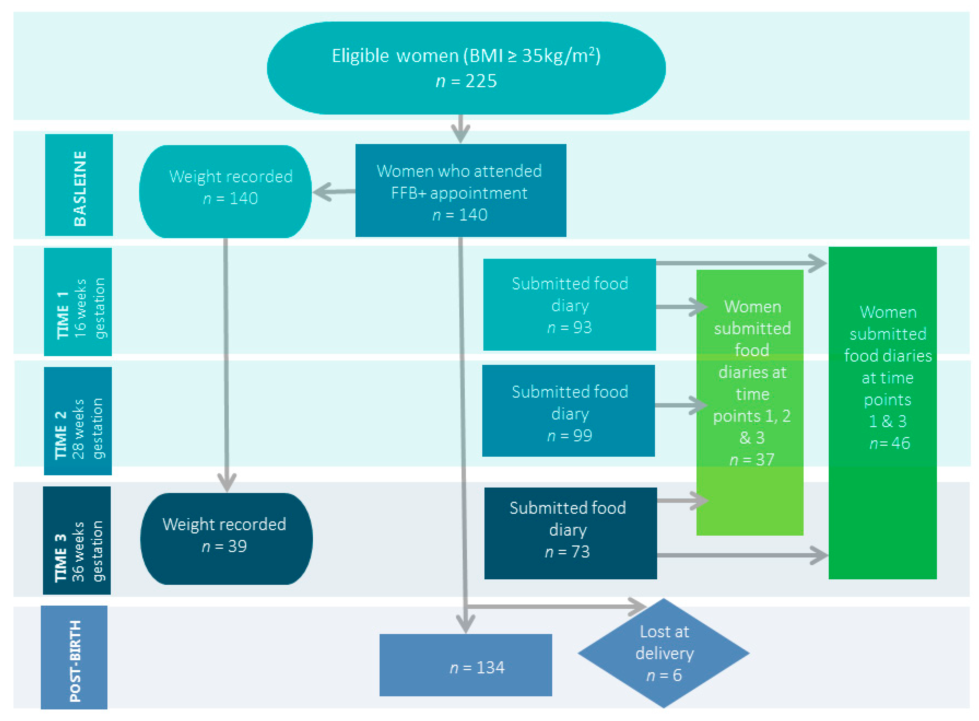 Nutrients 13 01652 g001 Nutrients 13 01652 g001
