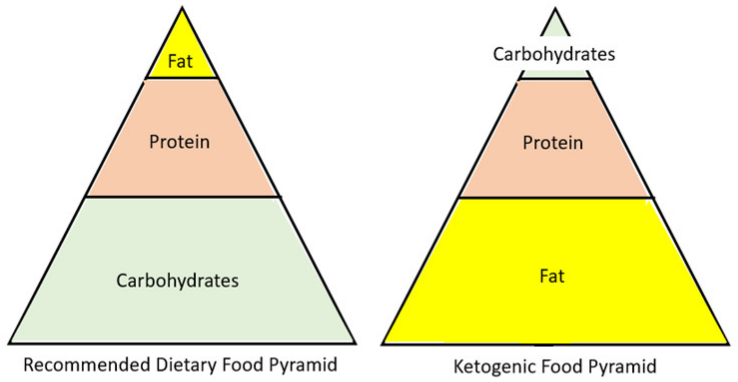 Nutrients 13 01654 g002
