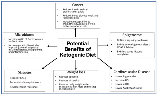 What Is the Ketogenic Diet? + 5 Benefits It Can Bring into Your Life - Real