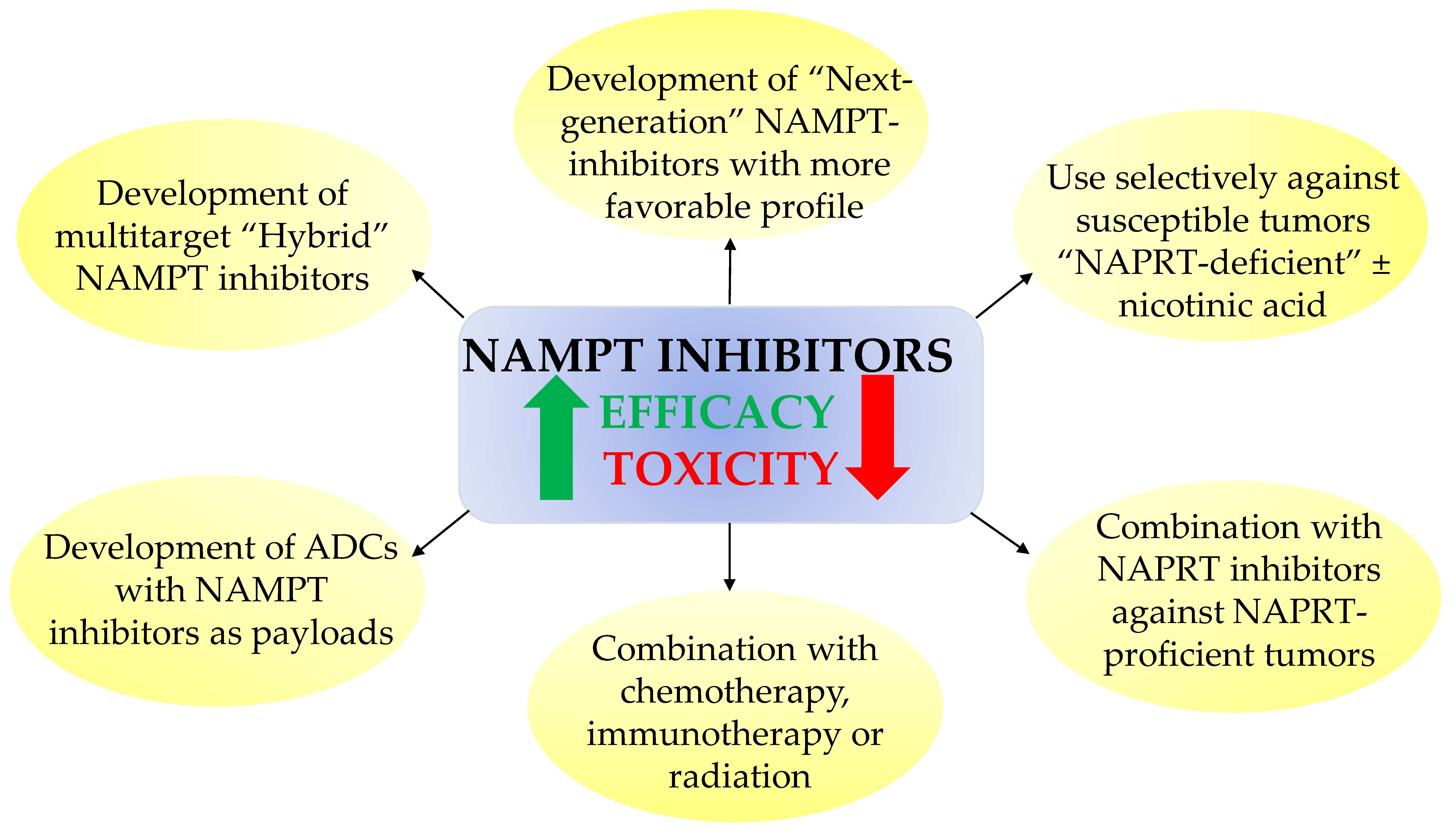 Nutrients 13 01665 g003