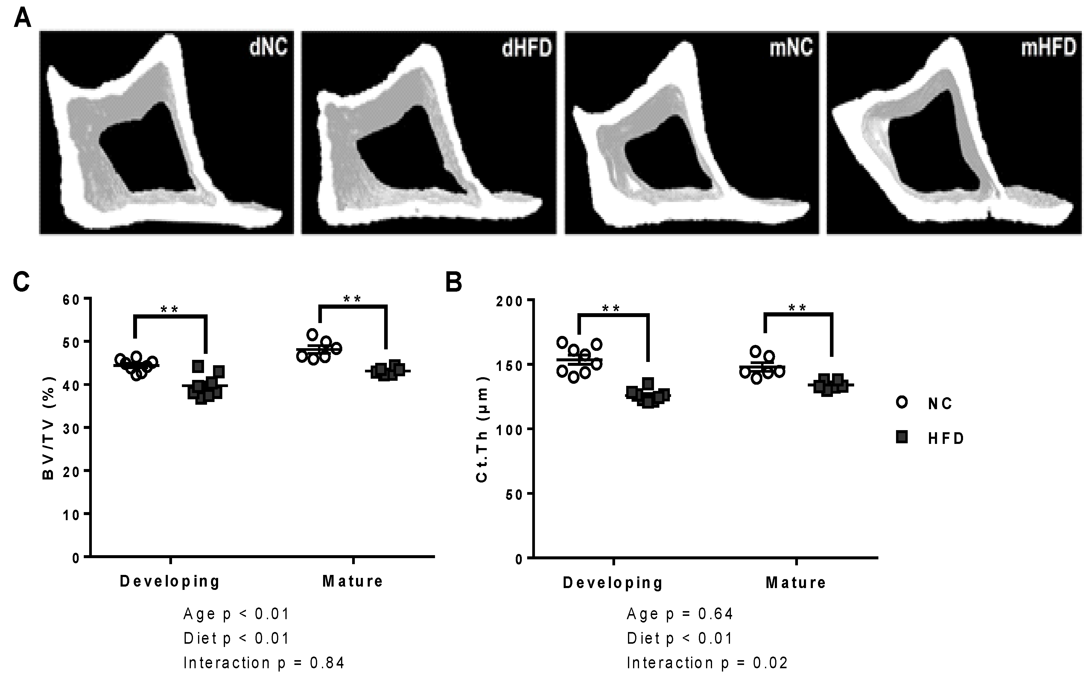 Nutrients 13 01666 g004
