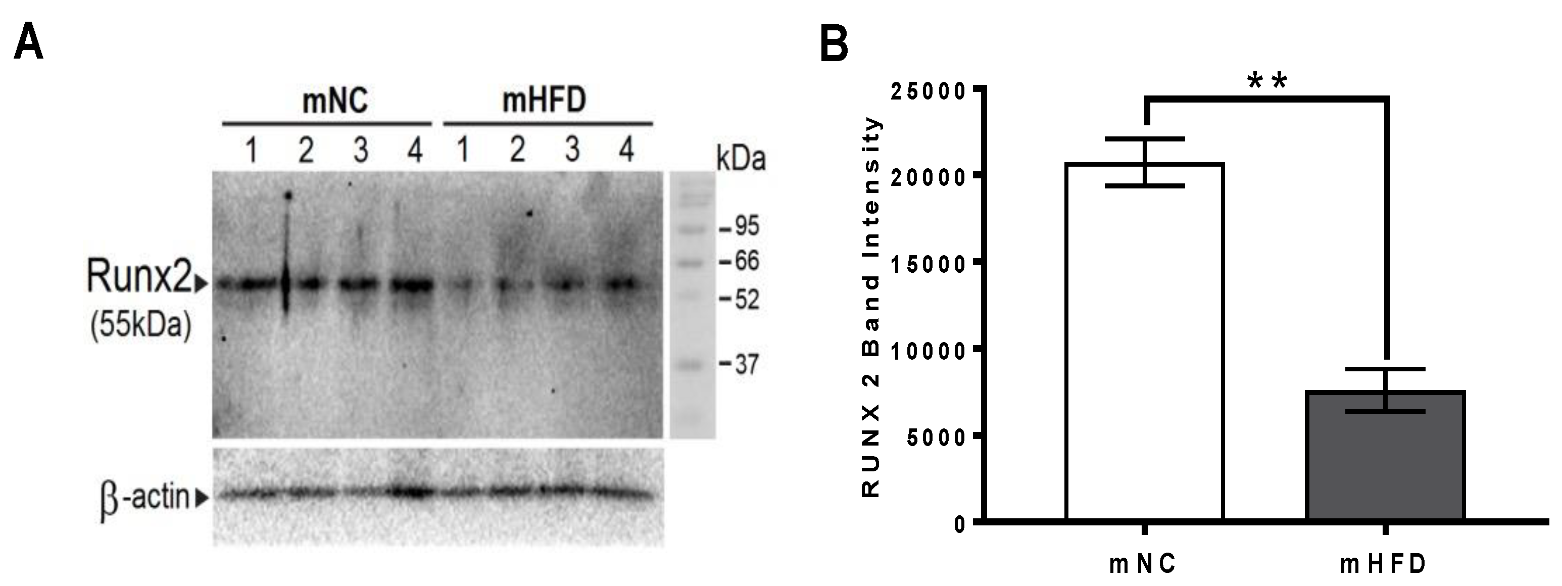 Nutrients 13 01666 g007