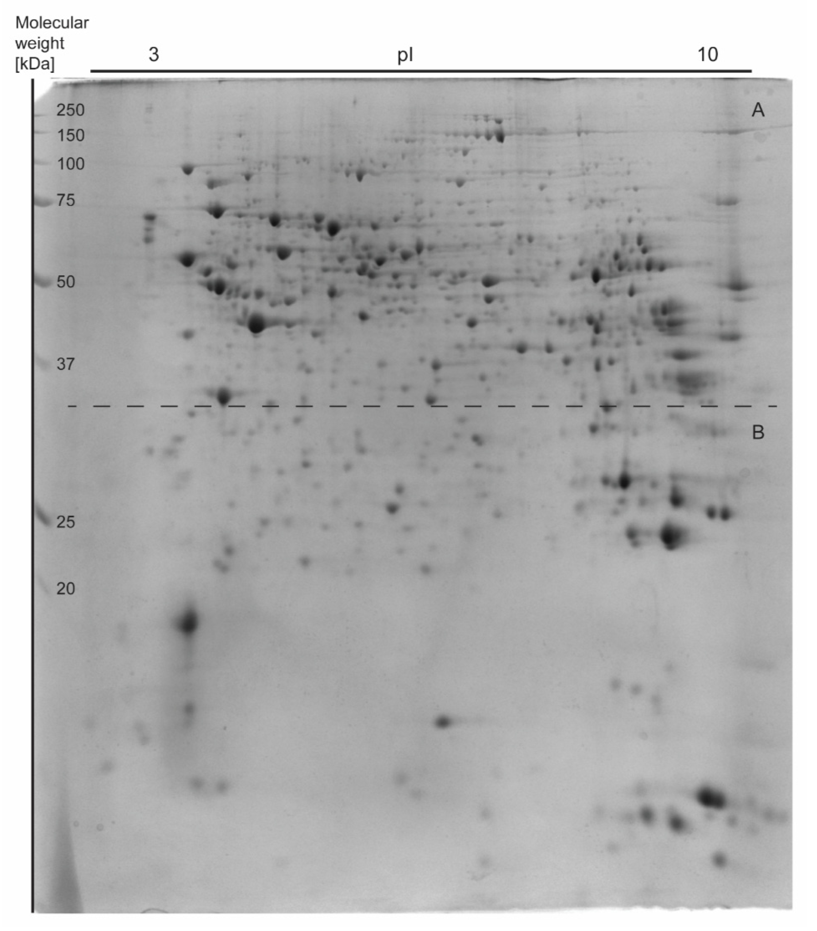 Nutrients 13 01678 g003 Nutrients 13 01678 g003