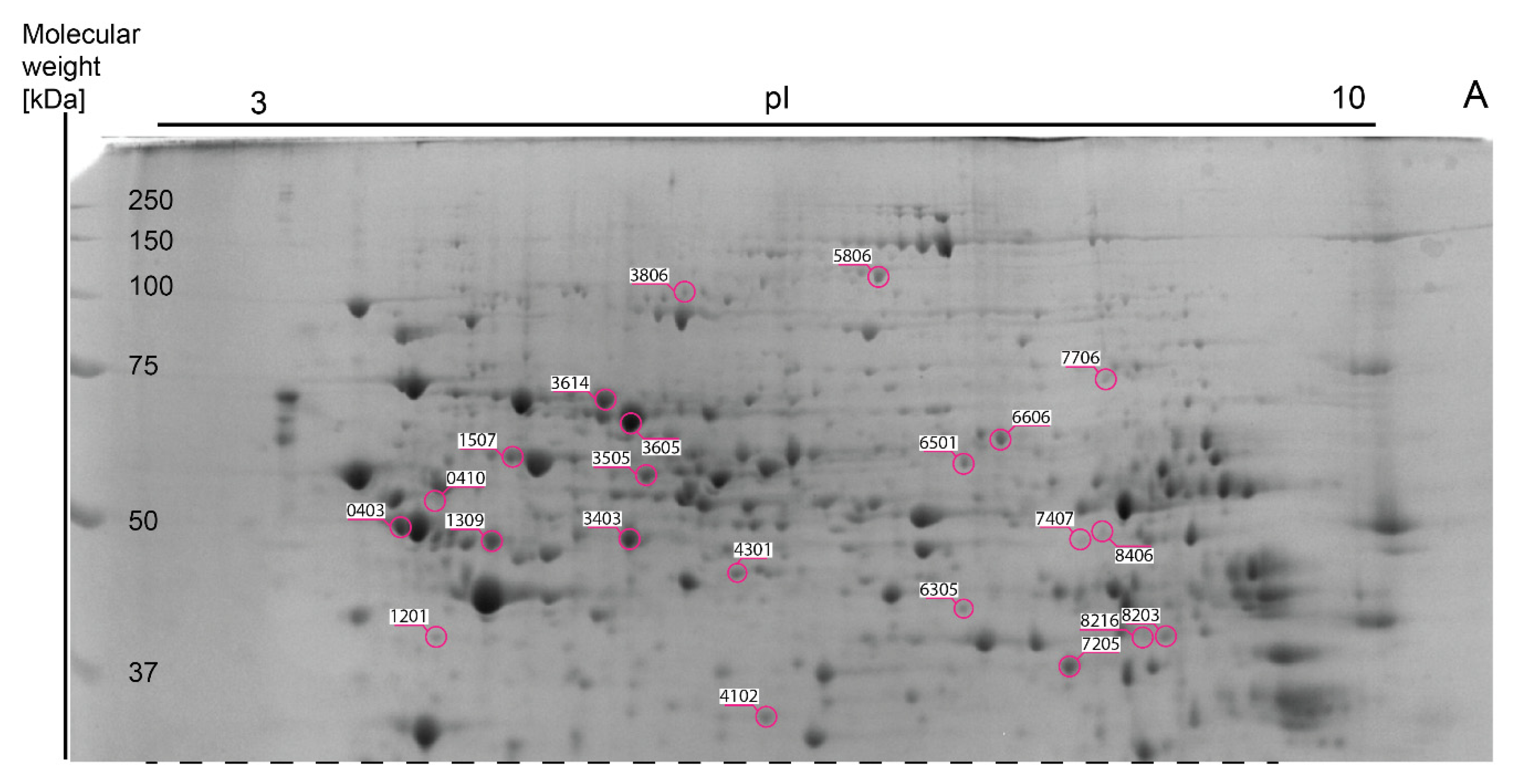 Nutrients 13 01678 g004 Nutrients 13 01678 g004