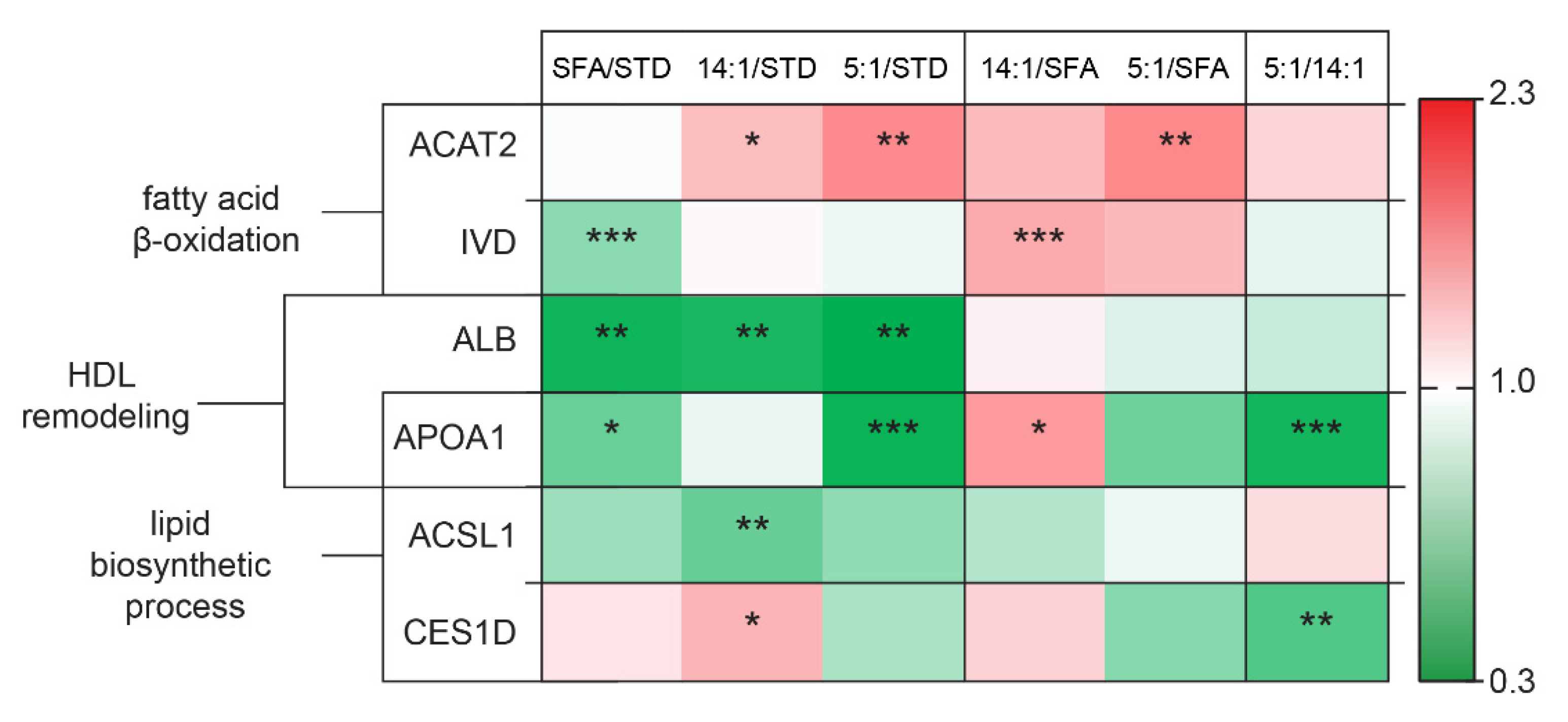 Nutrients 13 01678 g006 Nutrients 13 01678 g006