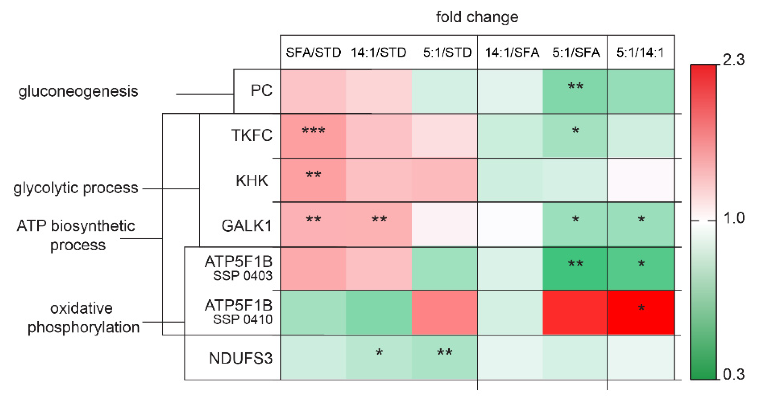 Nutrients 13 01678 g008 Nutrients 13 01678 g008