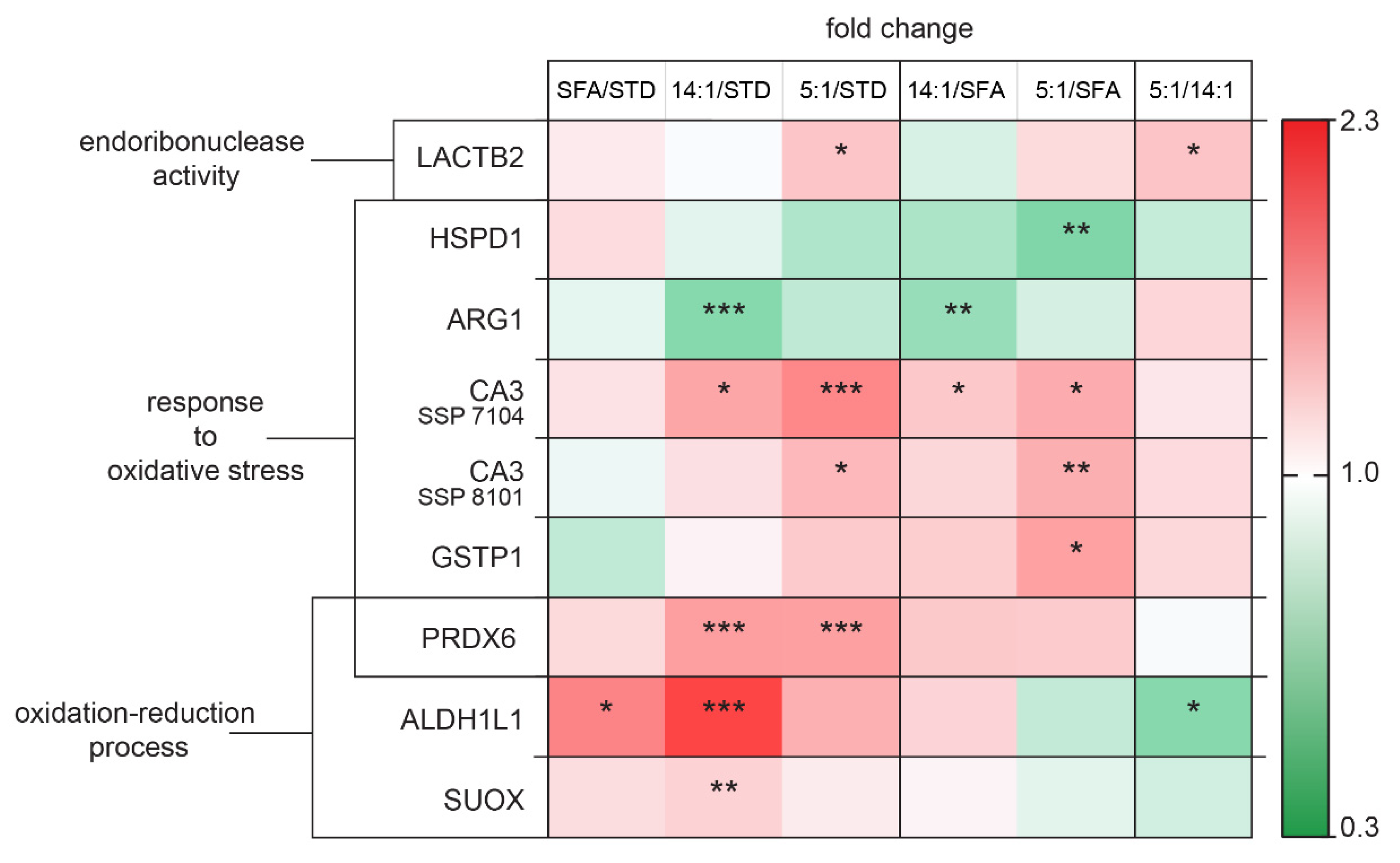 Nutrients 13 01678 g009 Nutrients 13 01678 g009