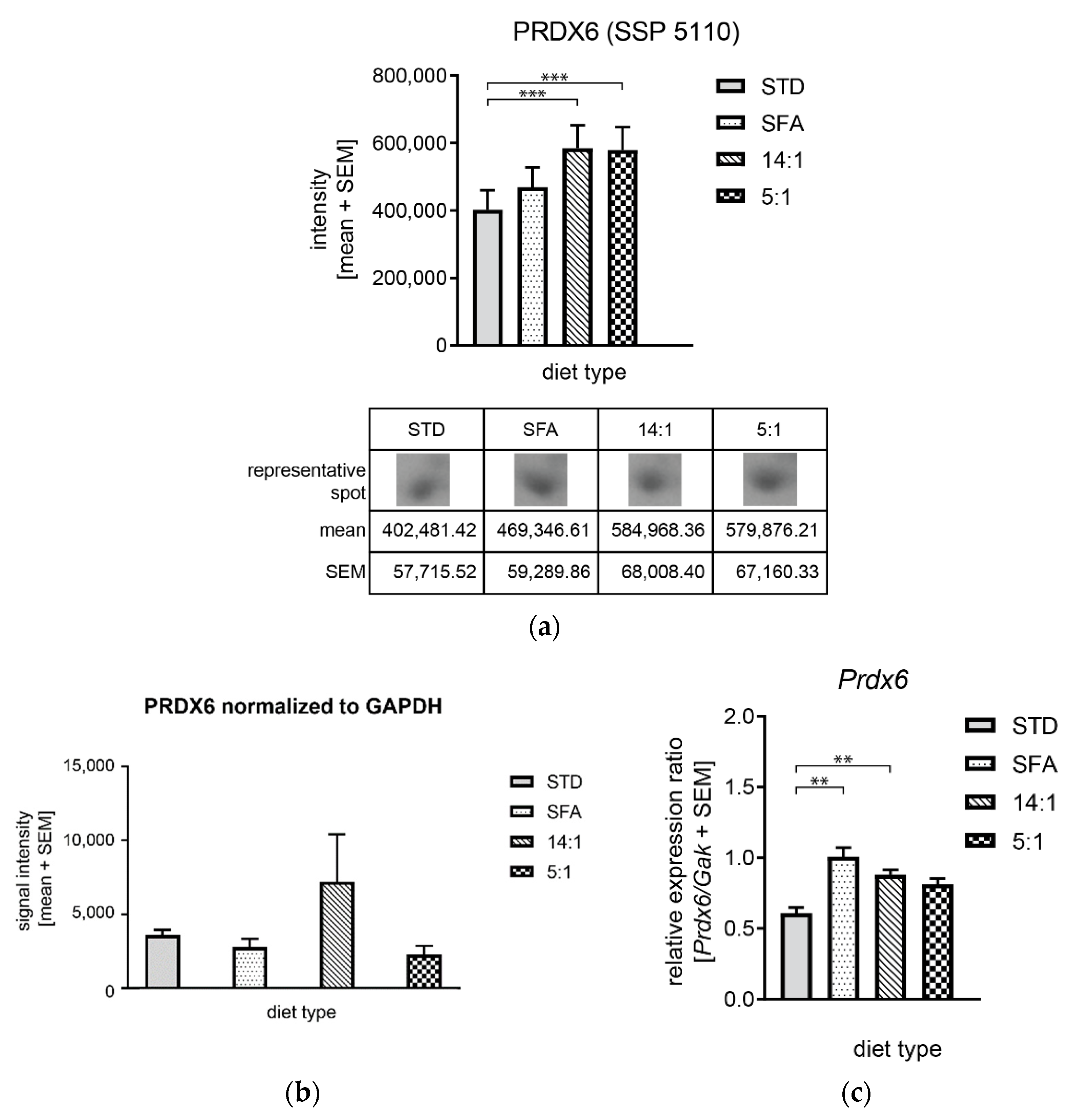 Nutrients 13 01678 g013 Nutrients 13 01678 g013