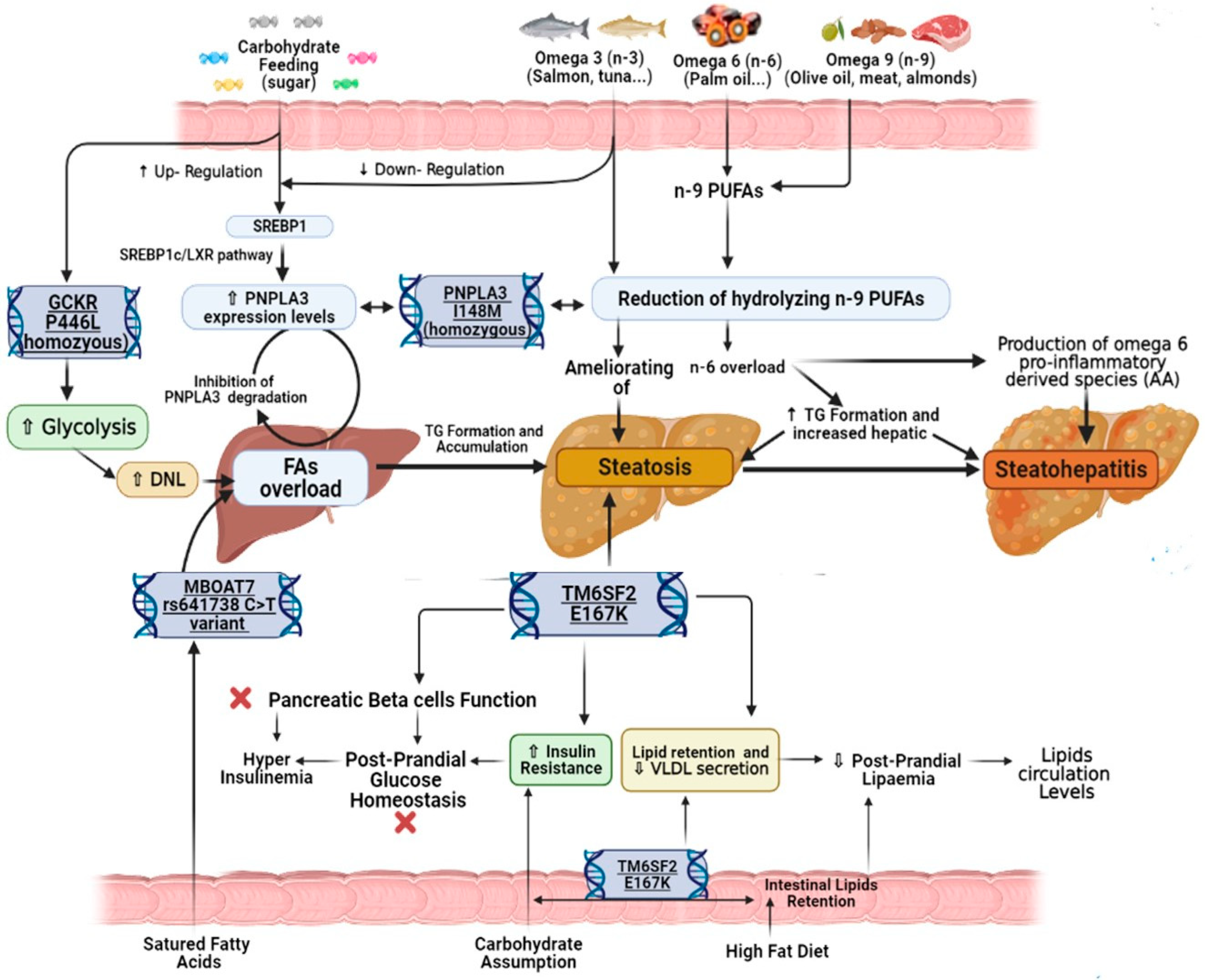 Nutrients 13 01679 g003 Nutrients 13 01679 g003
