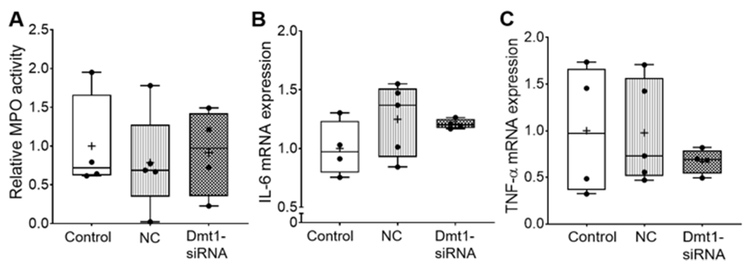 Nutrients 13 01686 g004