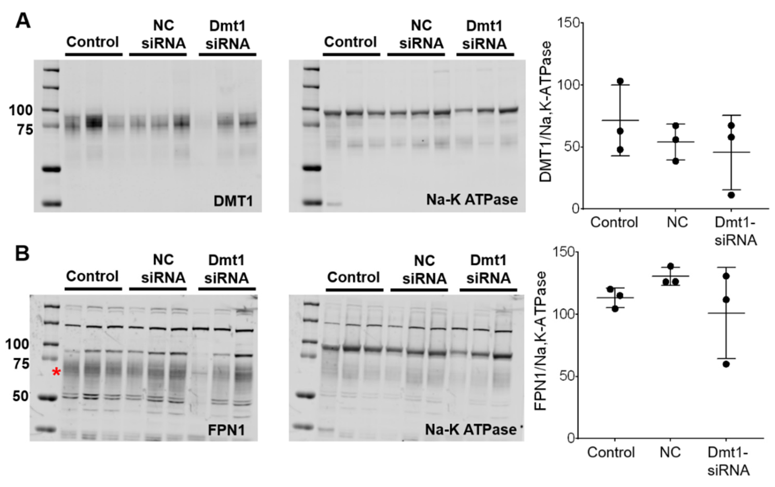 Nutrients 13 01686 g006