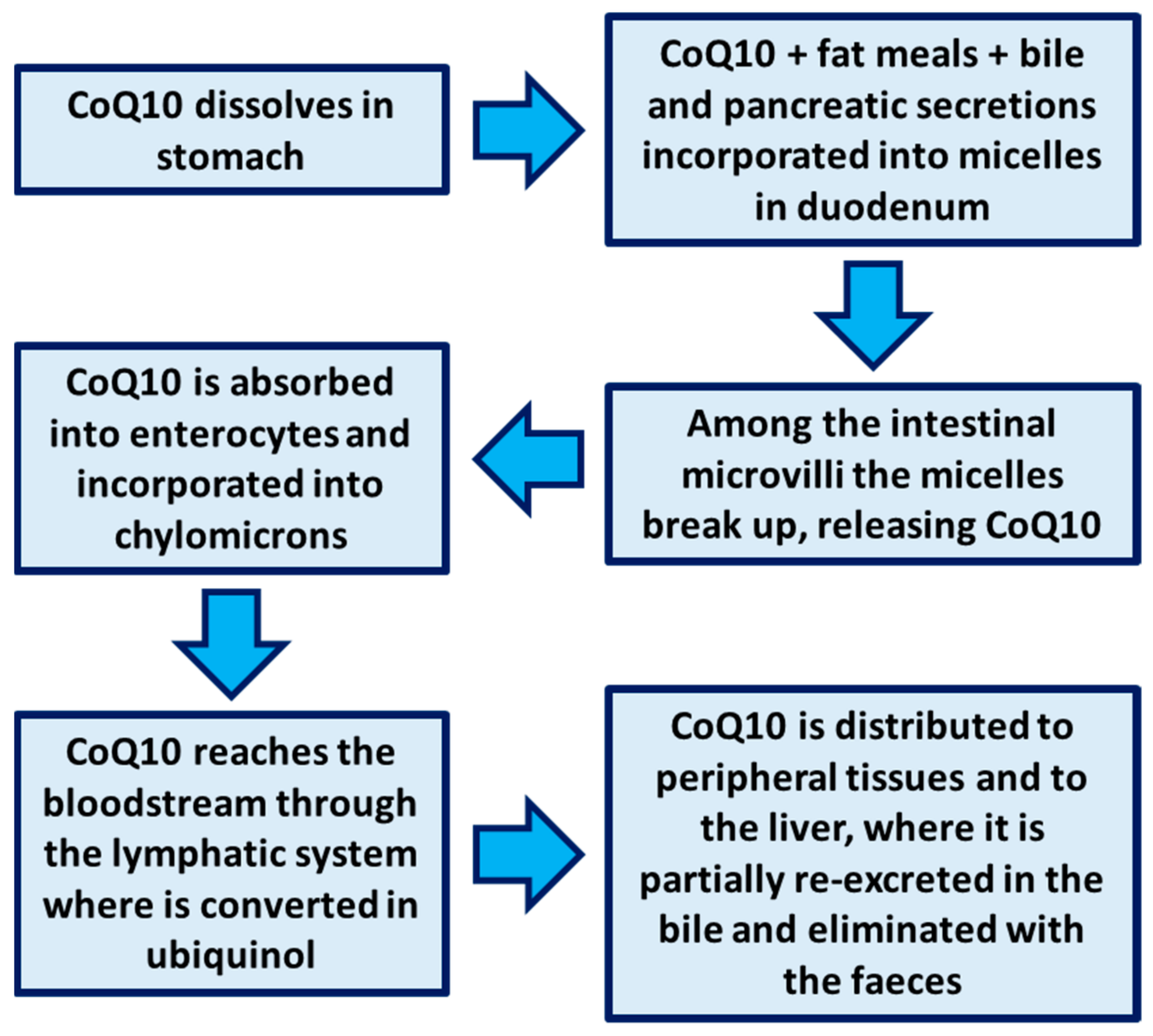 Nutrients 13 01697 g002