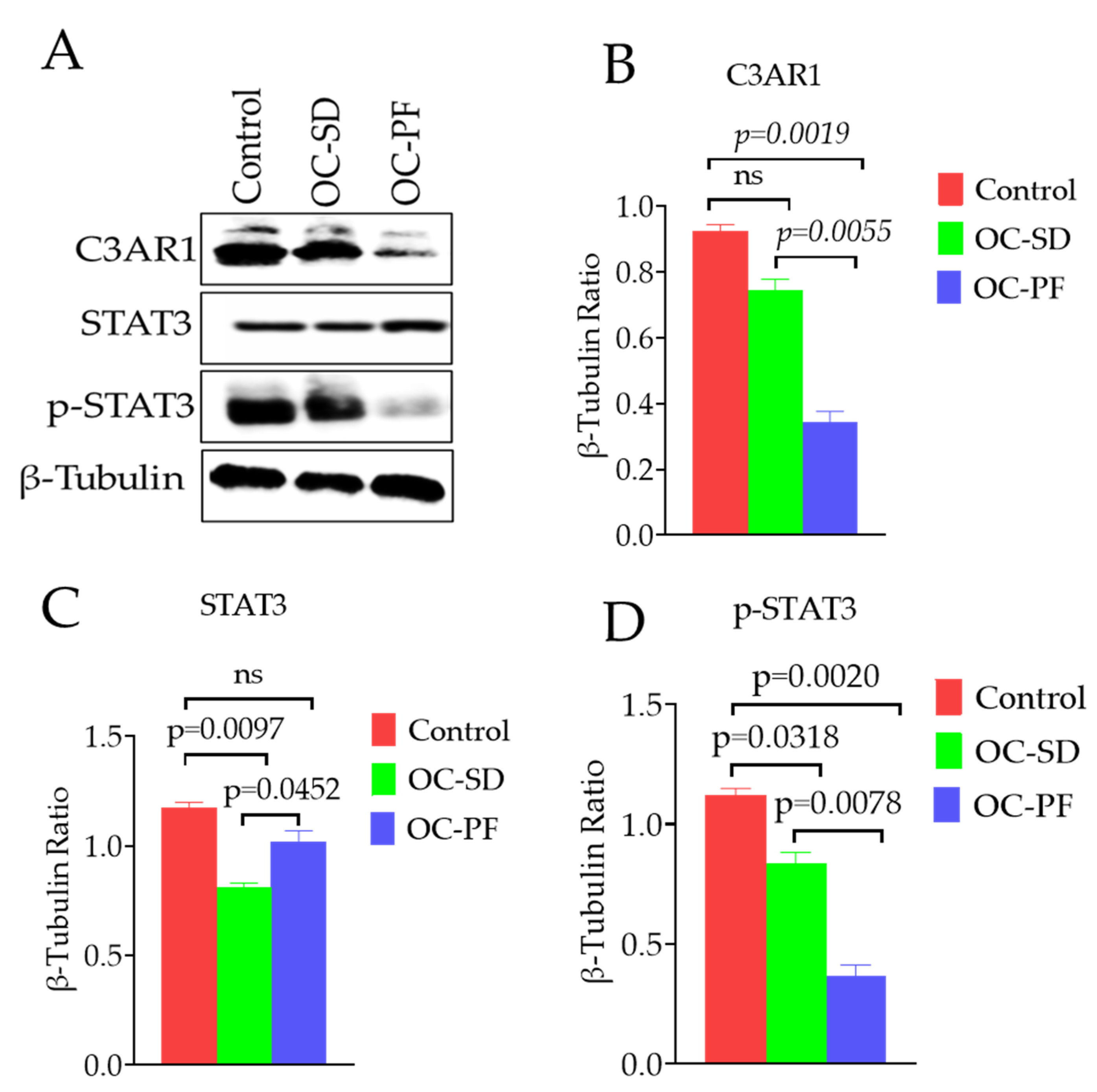 Nutrients 13 01702 g007 Nutrients 13 01702 g007